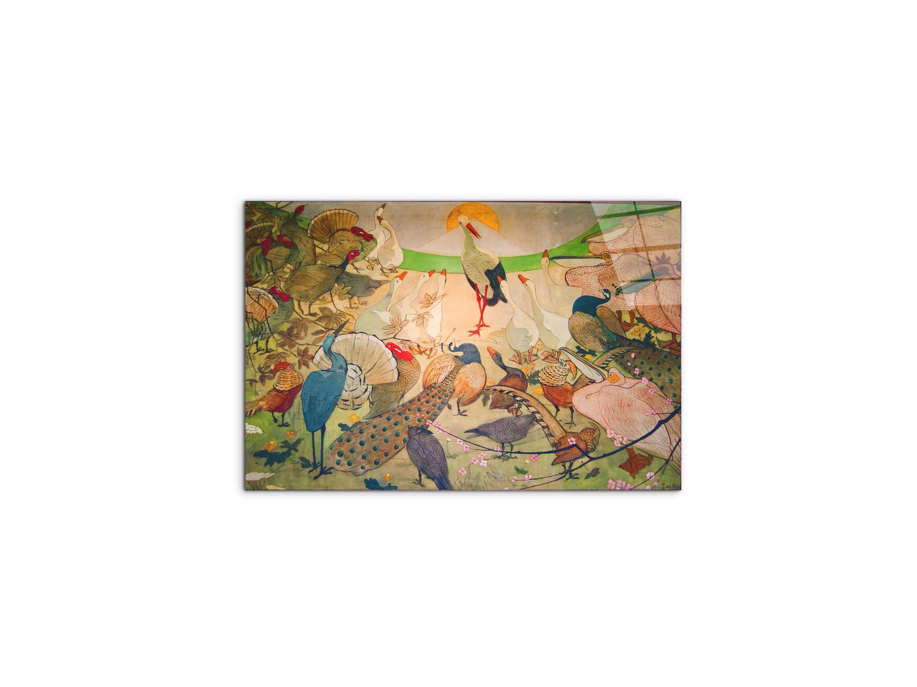 birdsas91579-