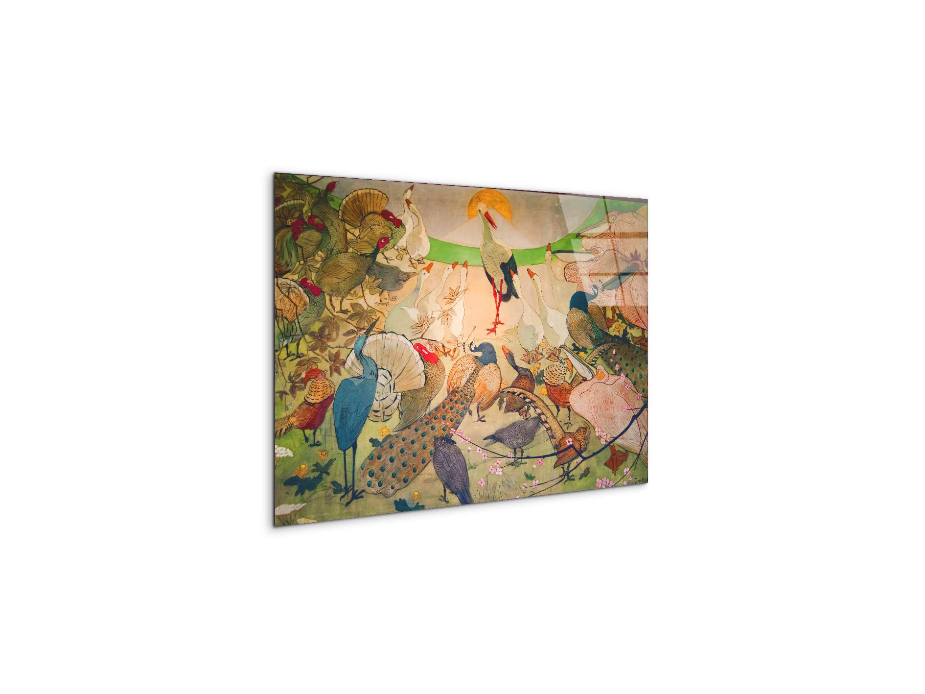 birdsas91579-