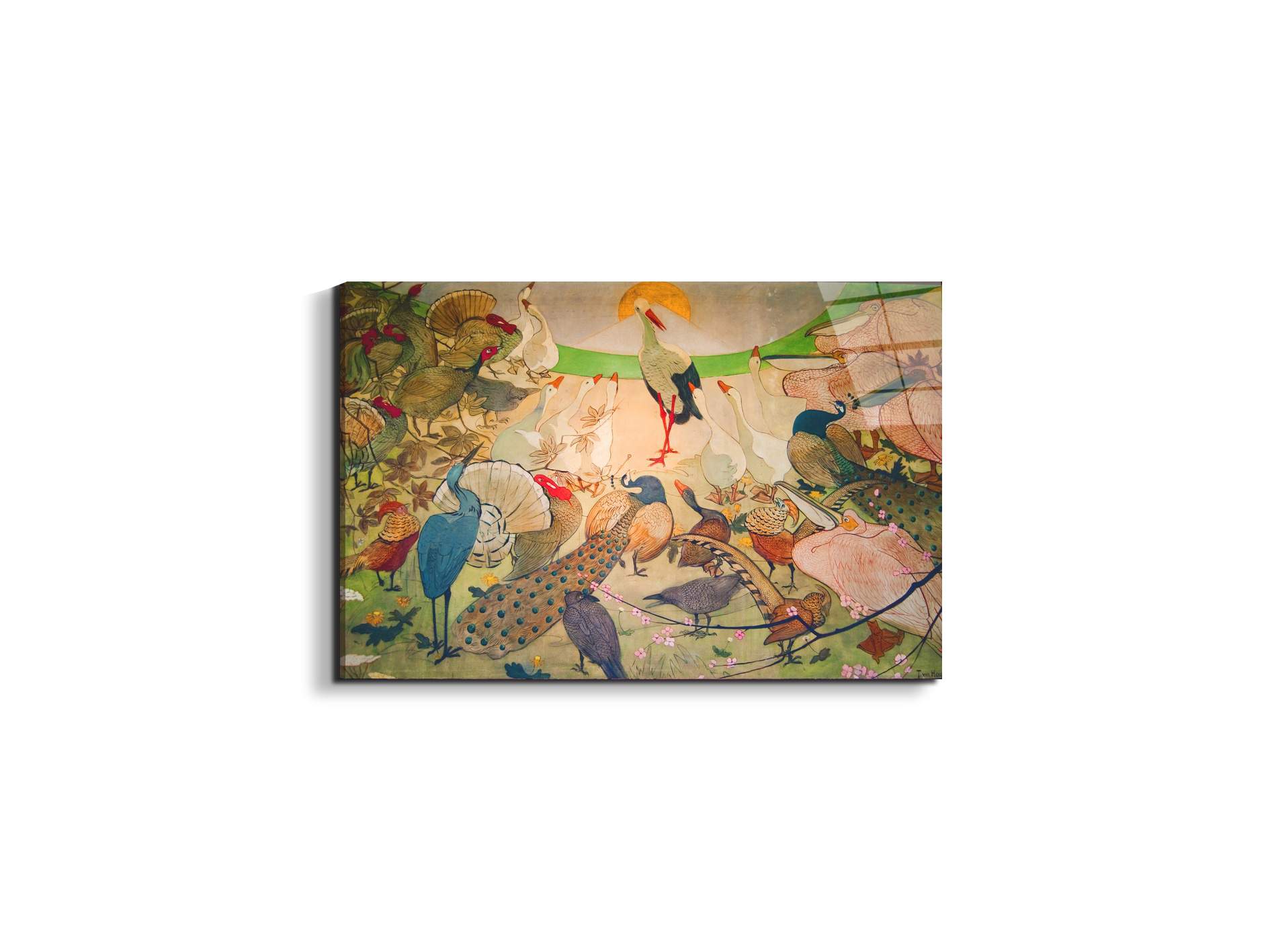 birdsas91579-