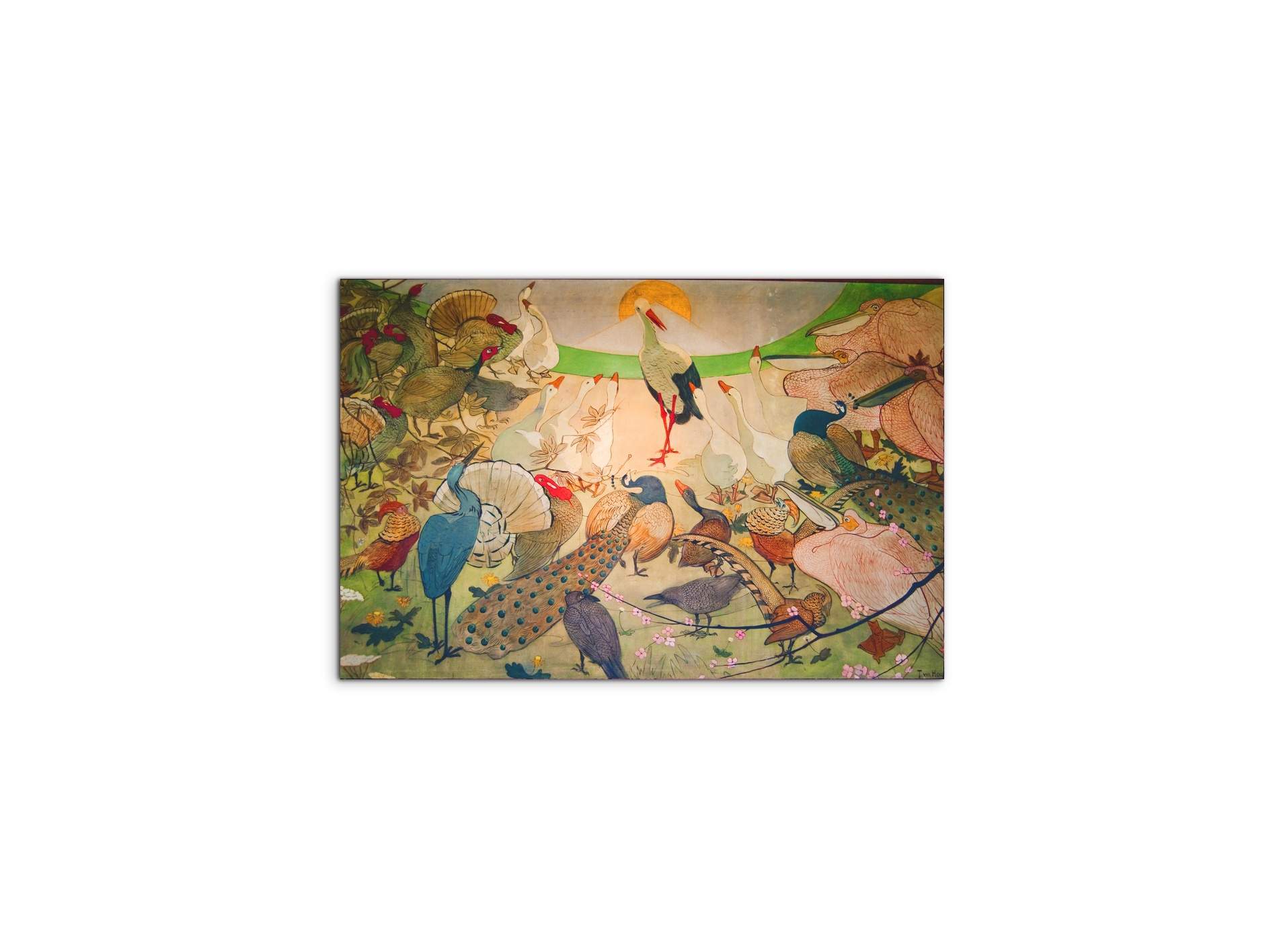 birdsas91579-