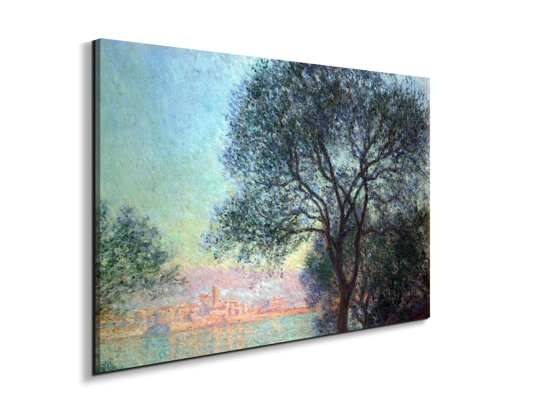 antibes-seen-from-la-salisas91659-