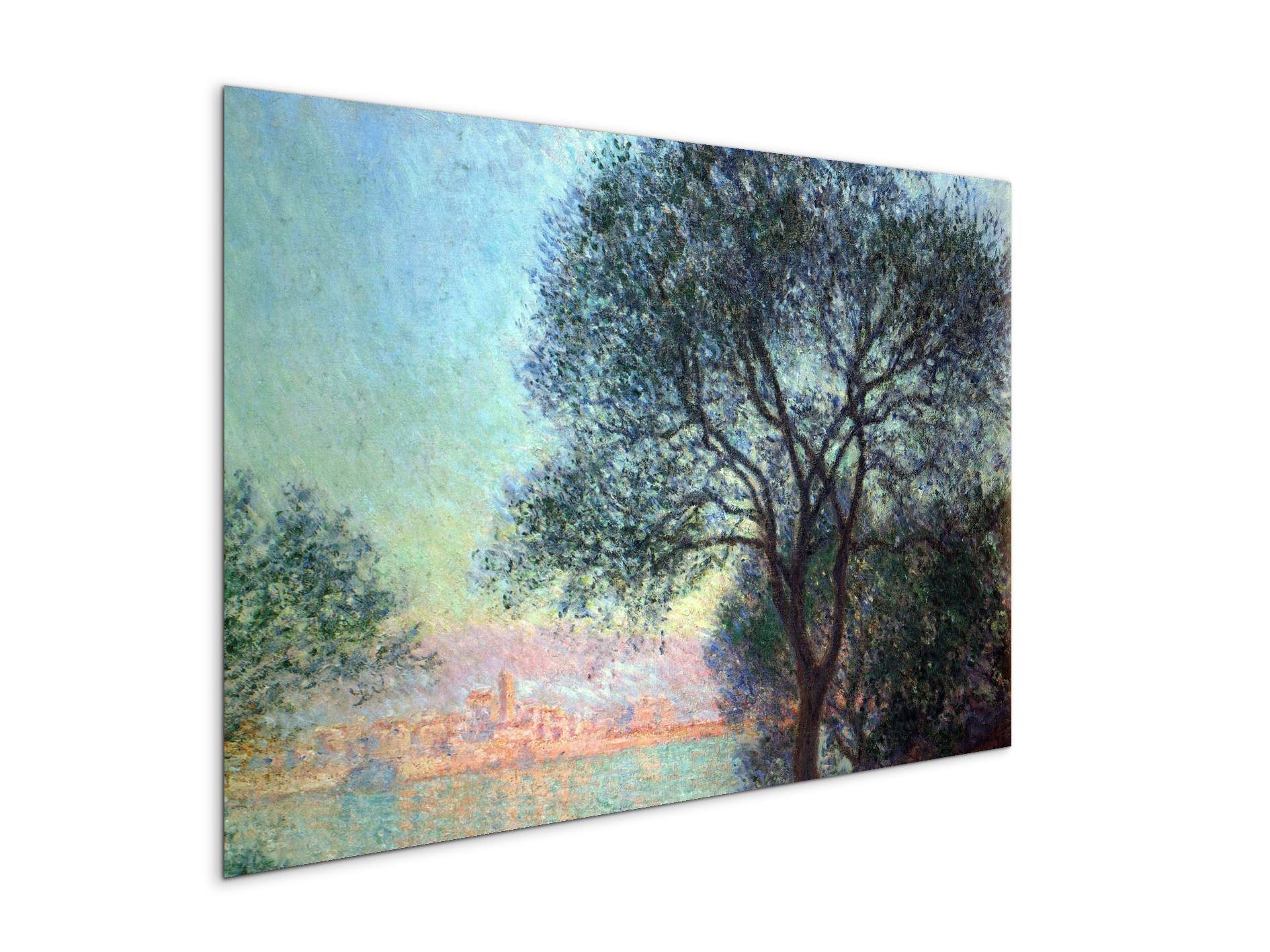 antibes-seen-from-la-salisas91659-