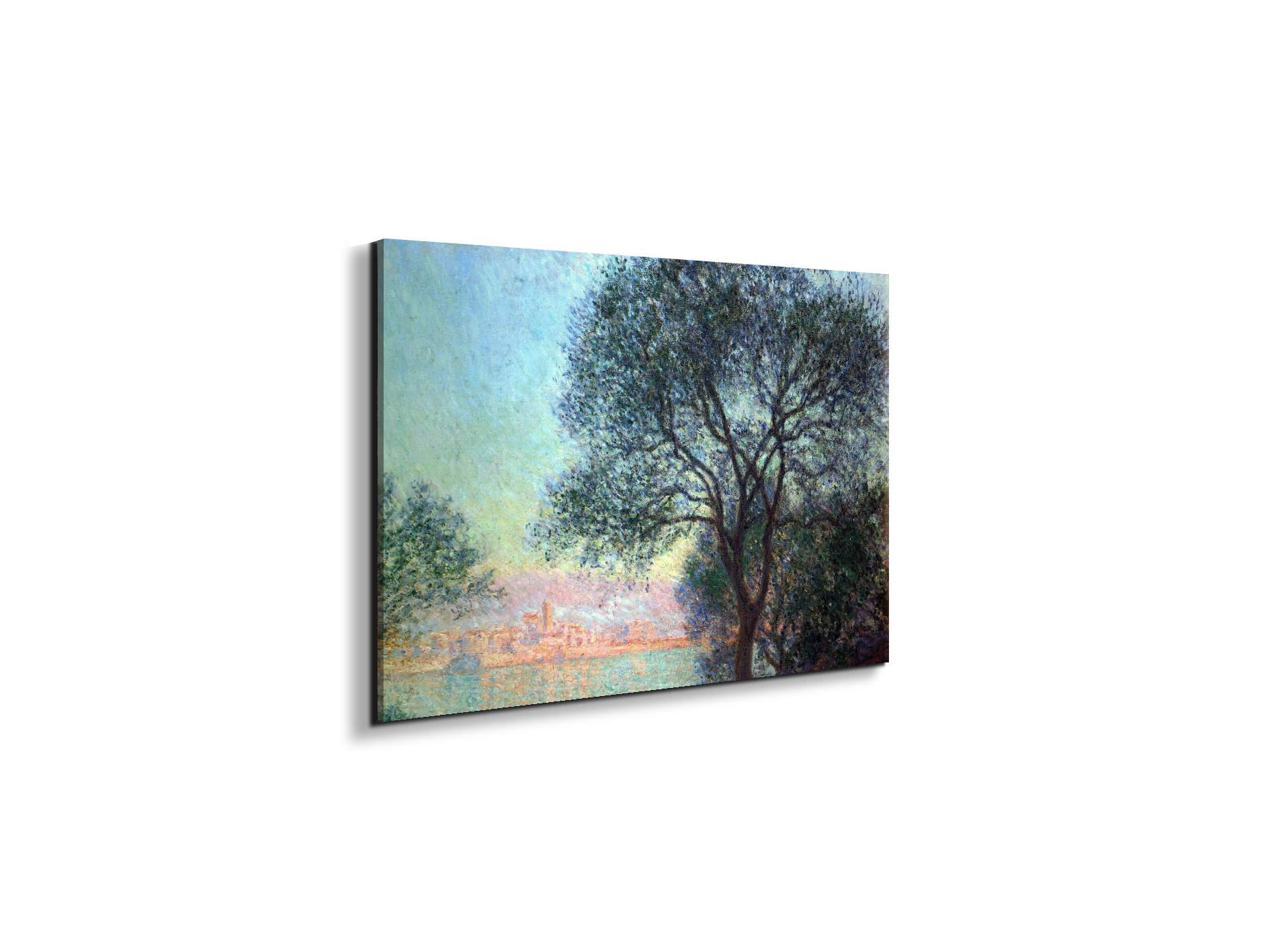 antibes-seen-from-la-salisas91659-