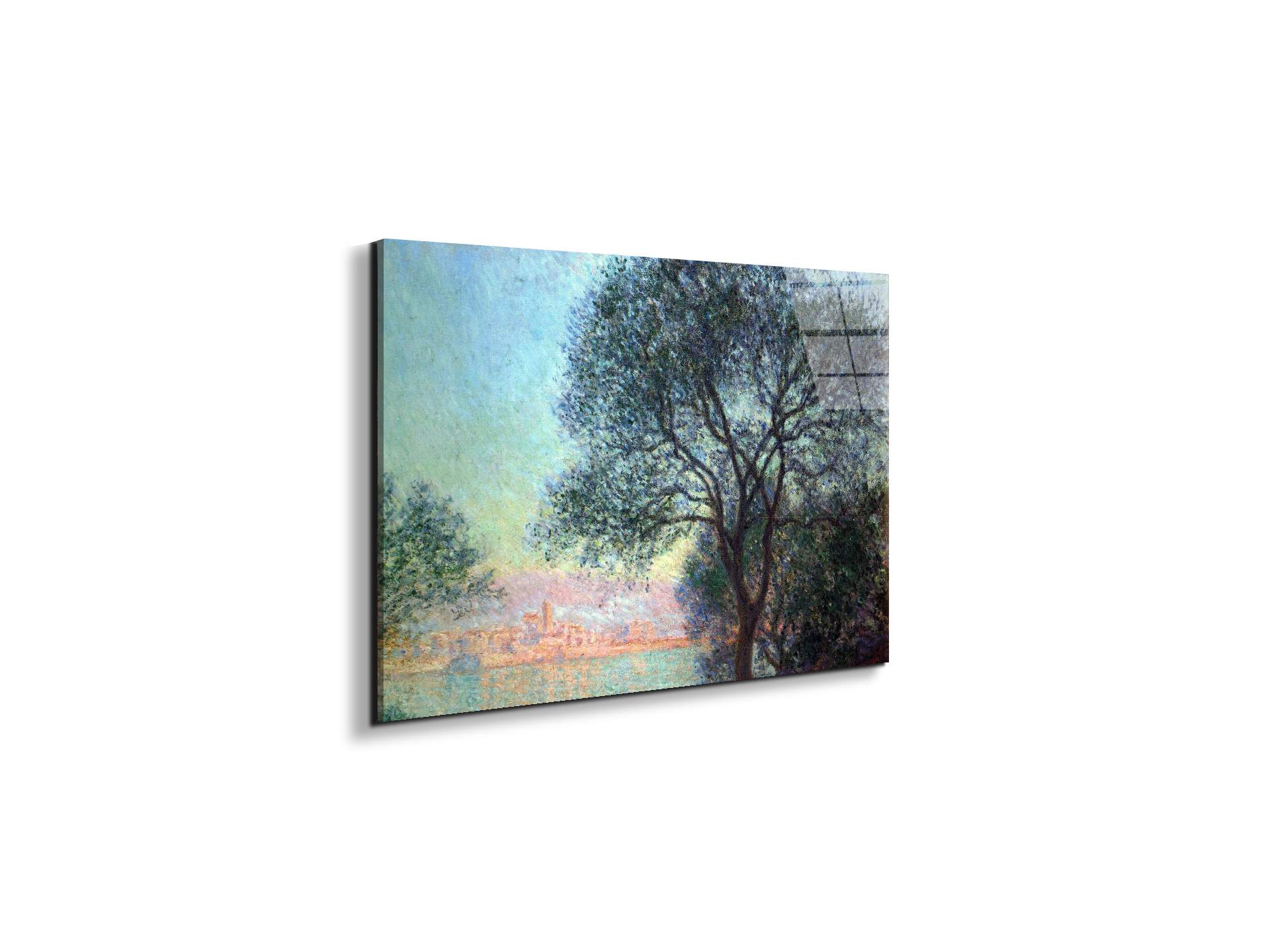 antibes-seen-from-la-salisas91659-