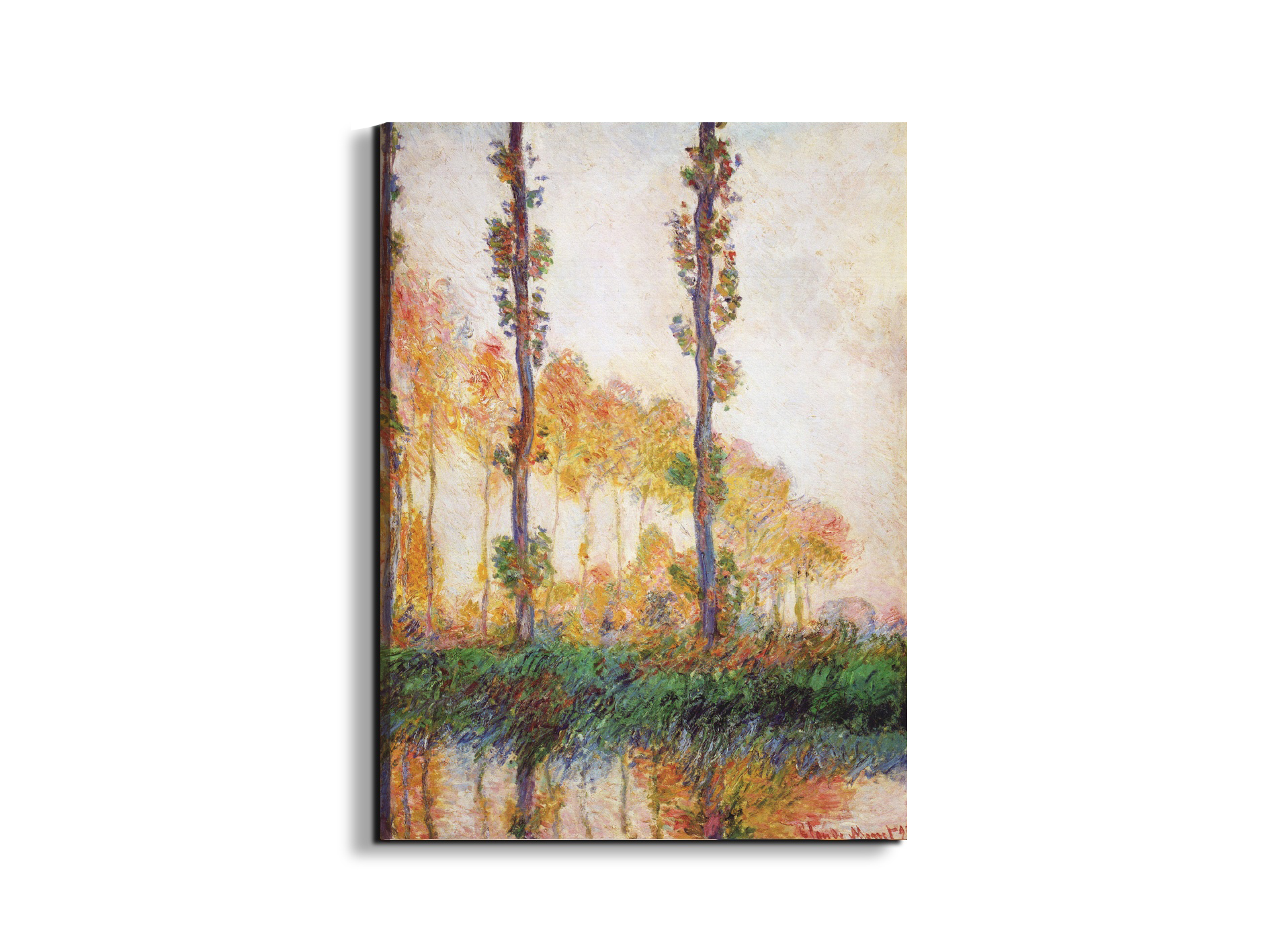 poplars-in-autumn-iias91713-#materiale_EarthArt/dimensioni_57x76