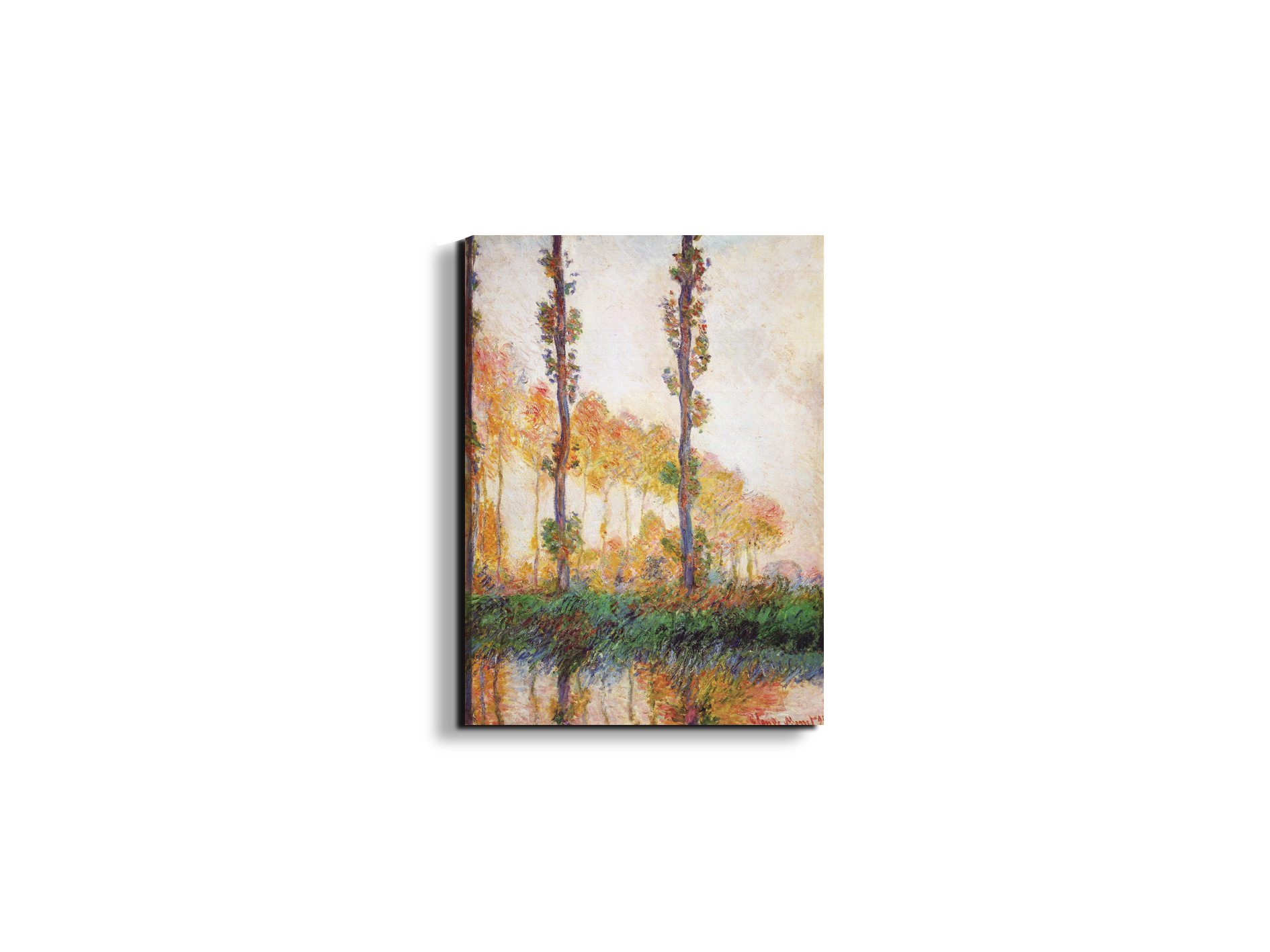 poplars-in-autumn-iias91713-#materiale_EarthArt/dimensioni_37,50x50
