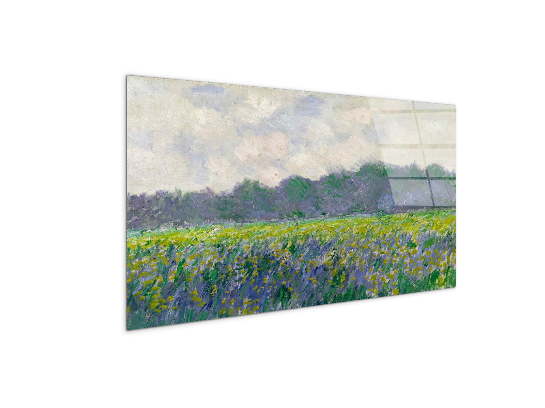 field-of-yellow-irisesas91743-#materiale_CrystalArt/dimensioni_100x50