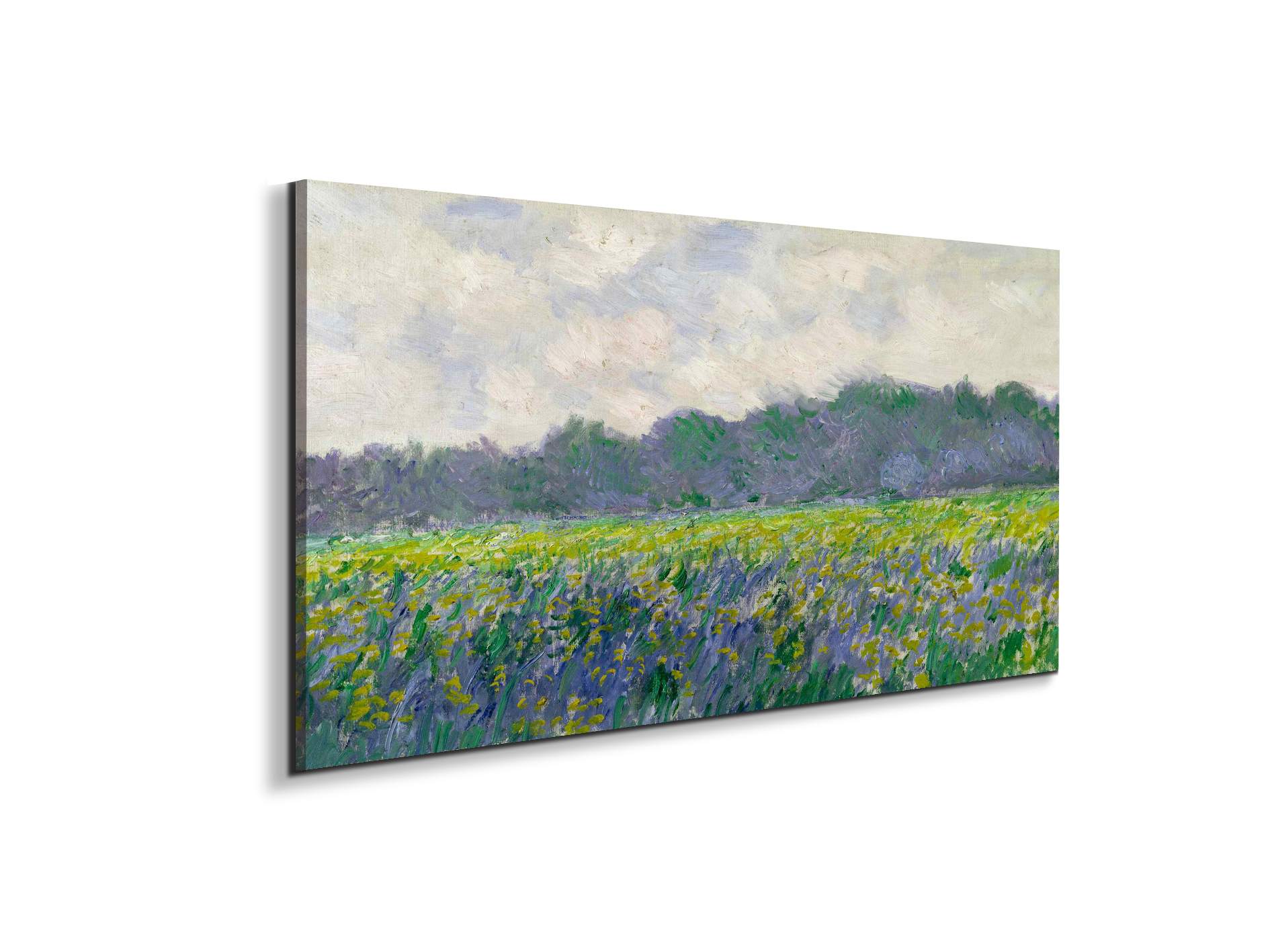 field-of-yellow-irisesas91743-#materiale_EarthArt/dimensioni_100x50