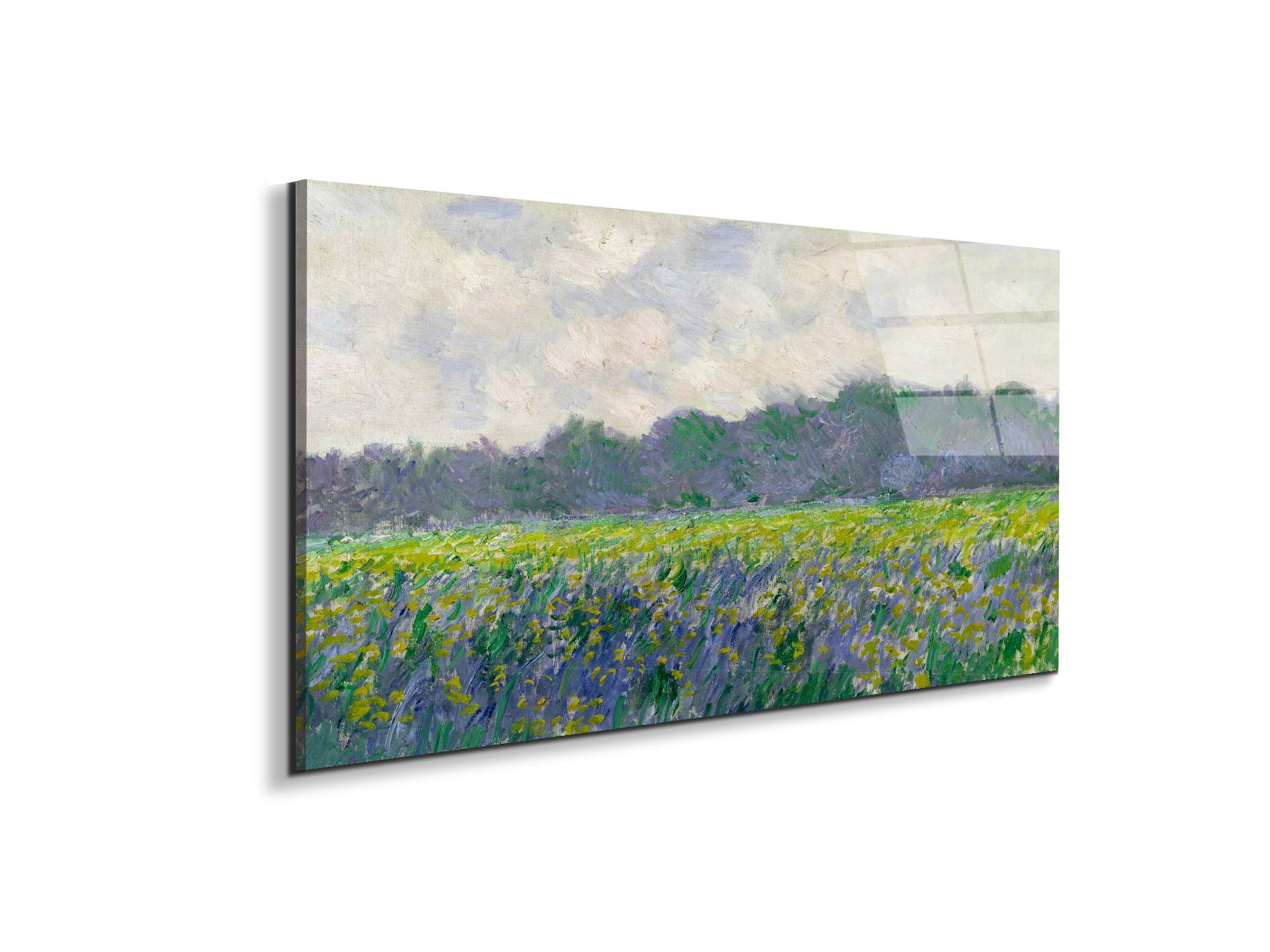 field-of-yellow-irisesas91743-#materiale_EarthArt Total Gloss/dimensioni_100x50