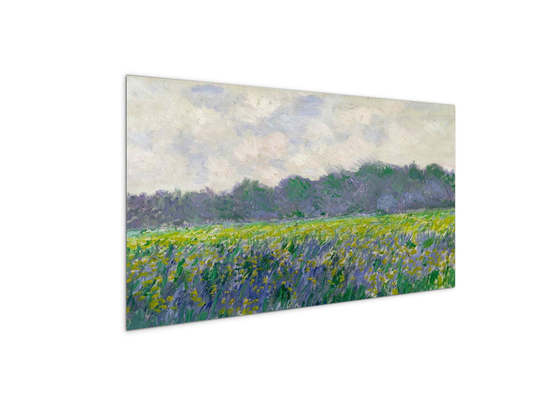 field-of-yellow-irisesas91743-#materiale_MetalArt Materic/dimensioni_100x50