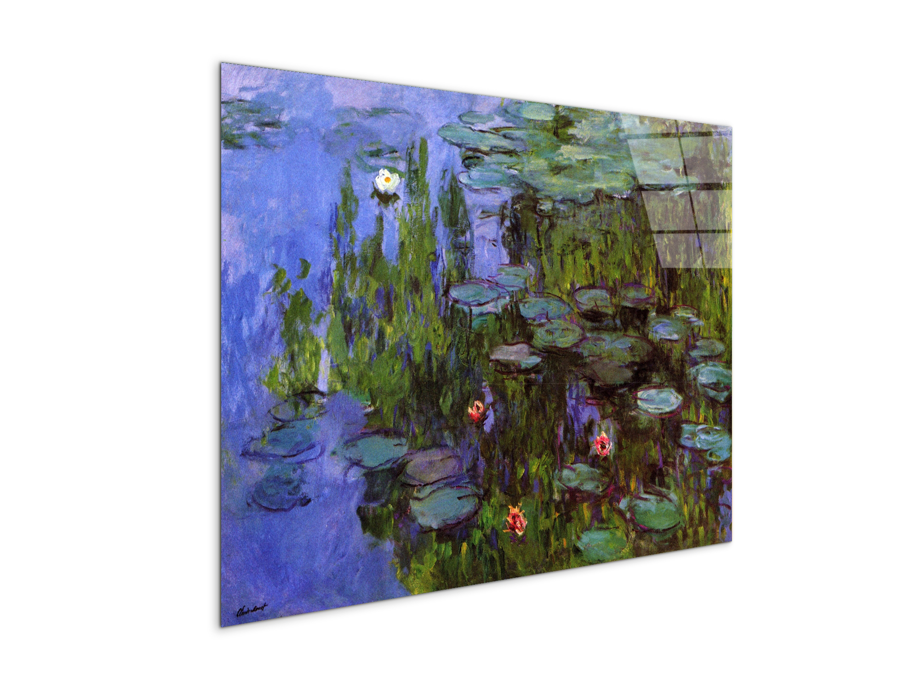 gardensas91767-