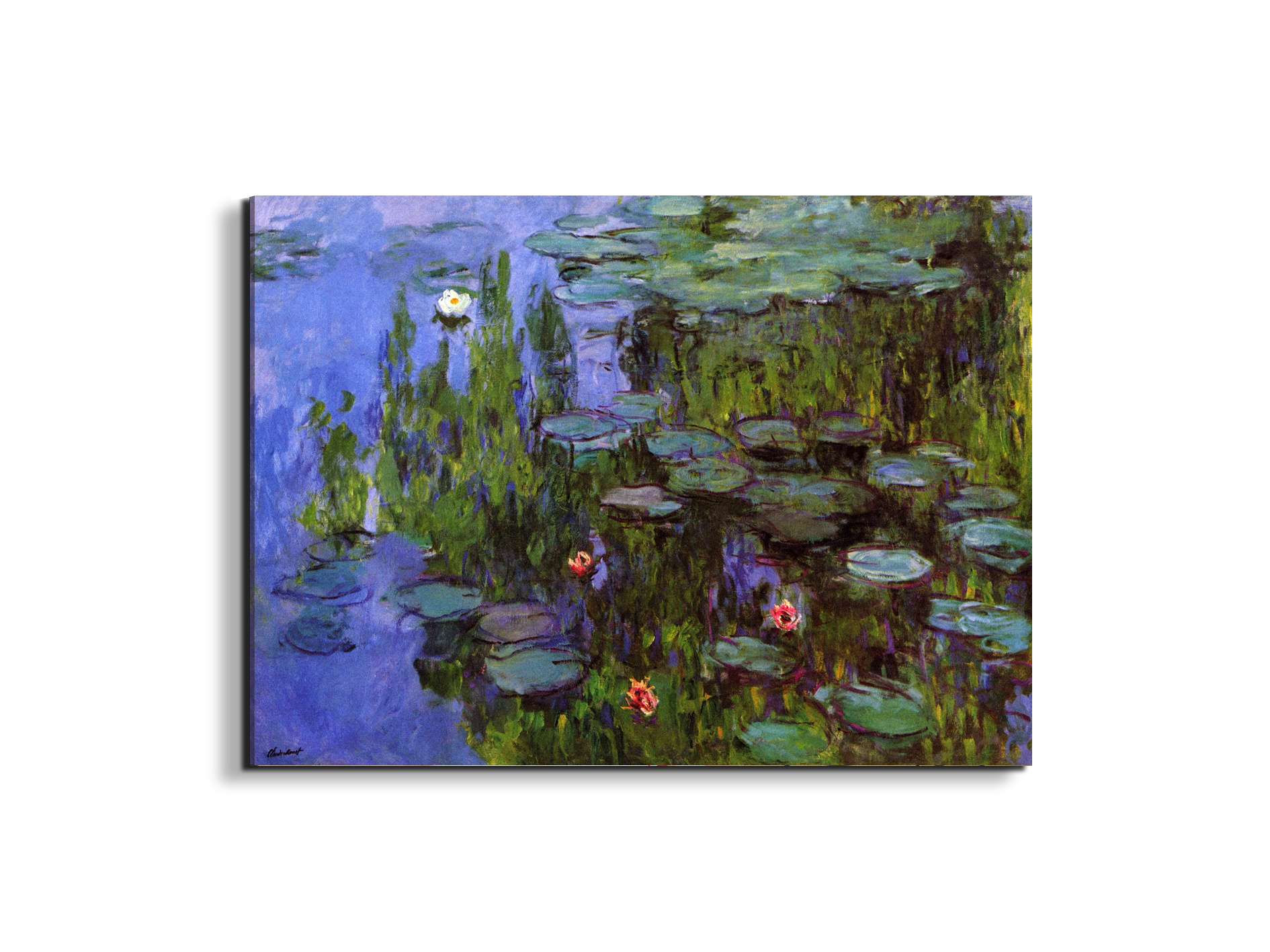 gardensas91767-