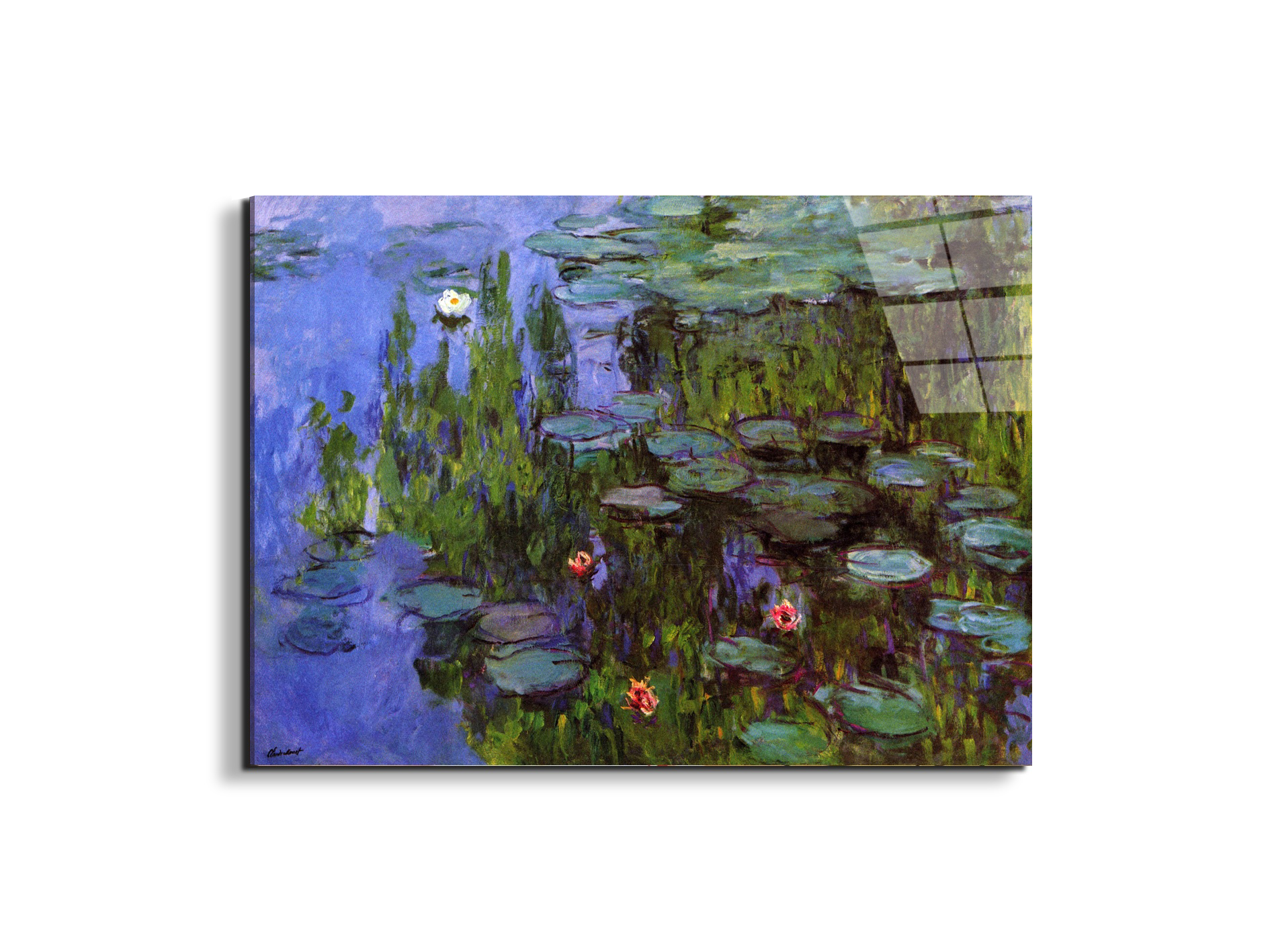 gardensas91767-