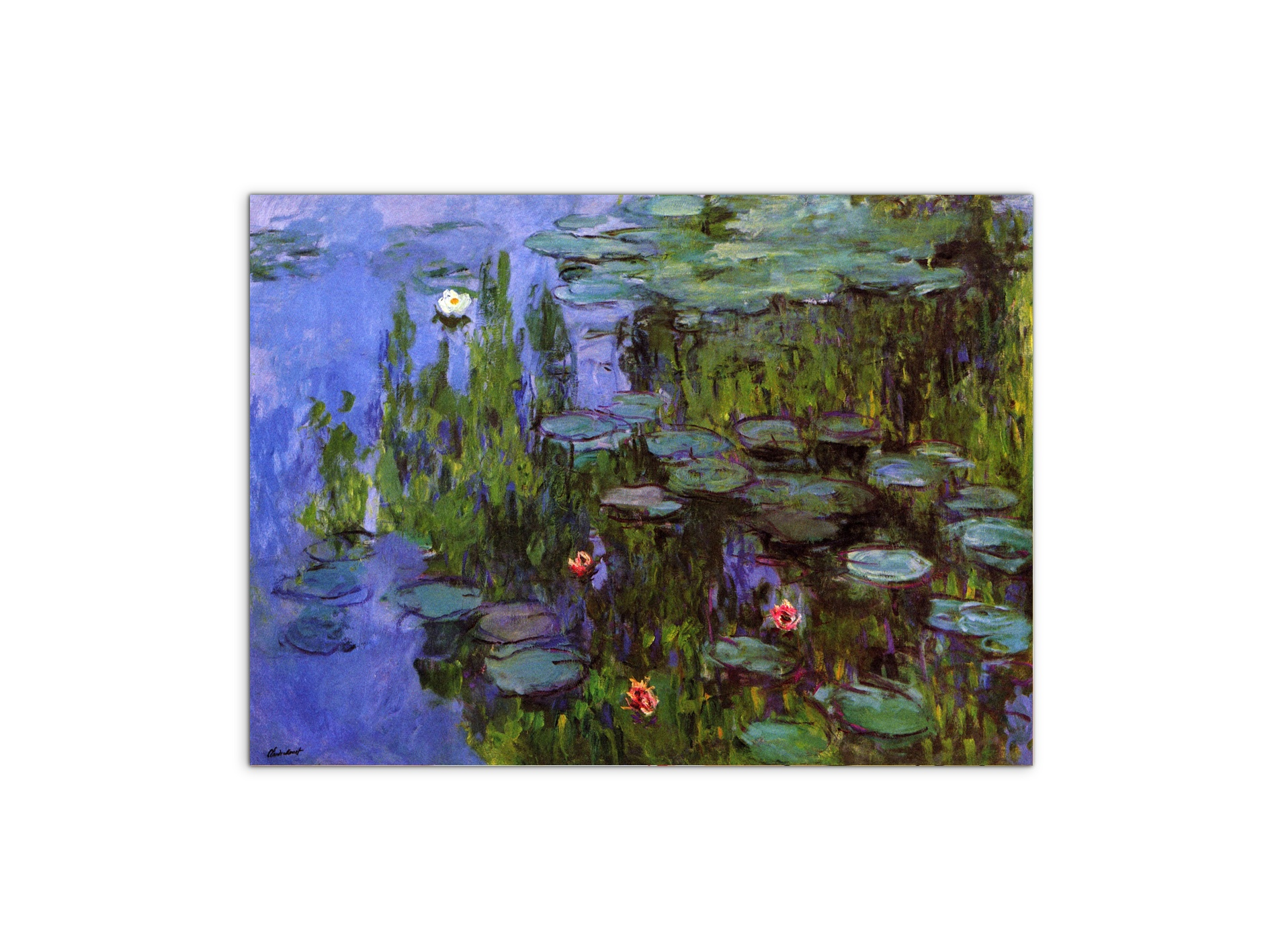 gardensas91767-