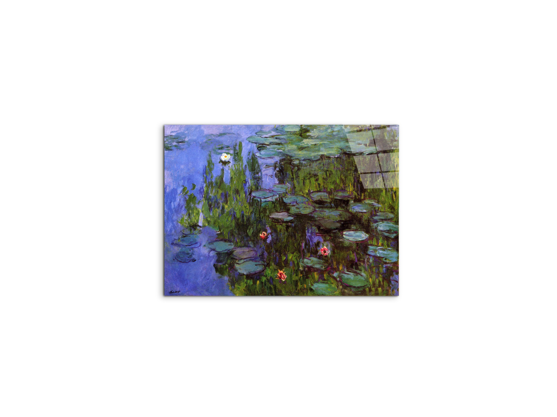 gardensas91767-