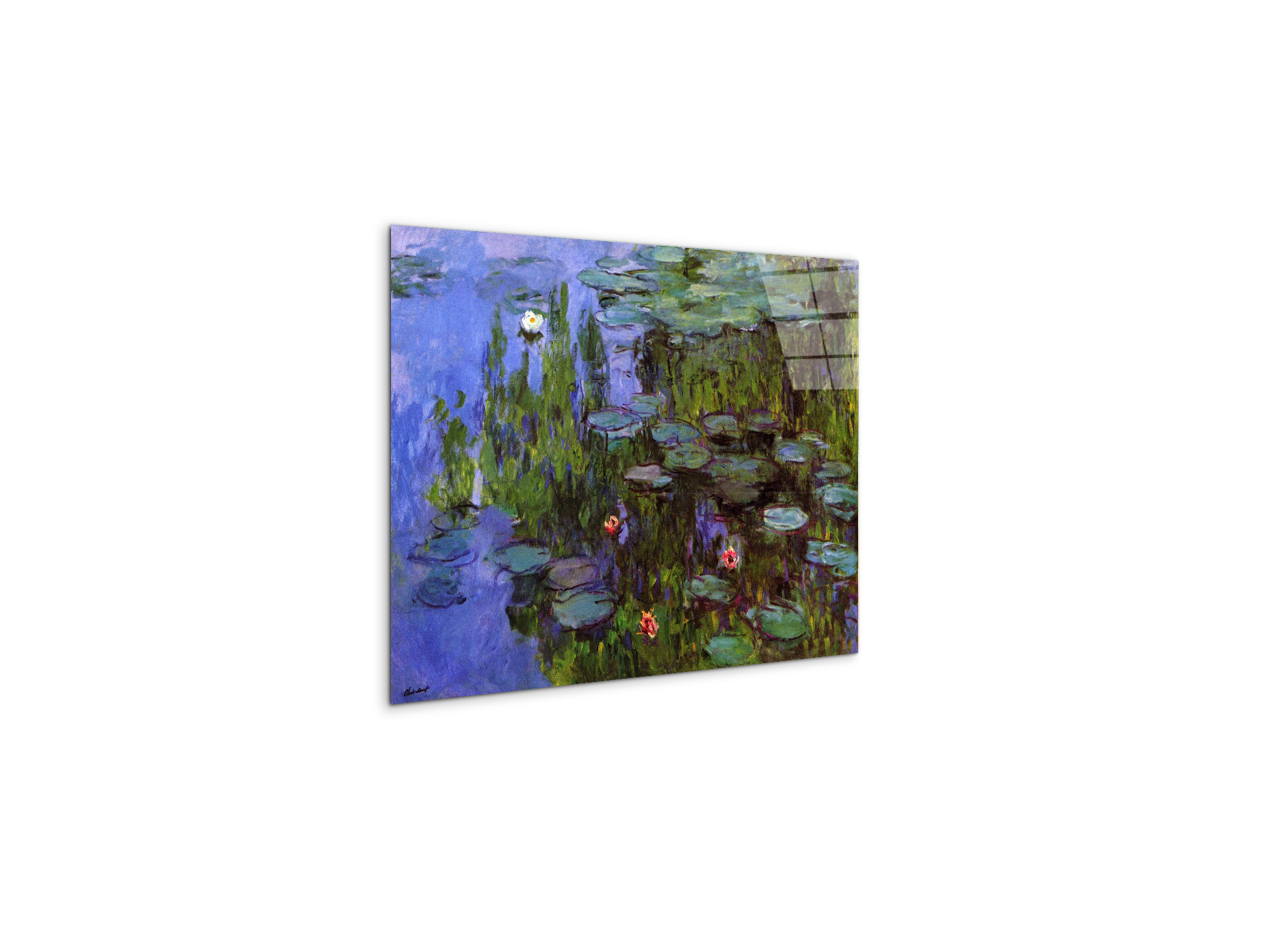 gardensas91767-