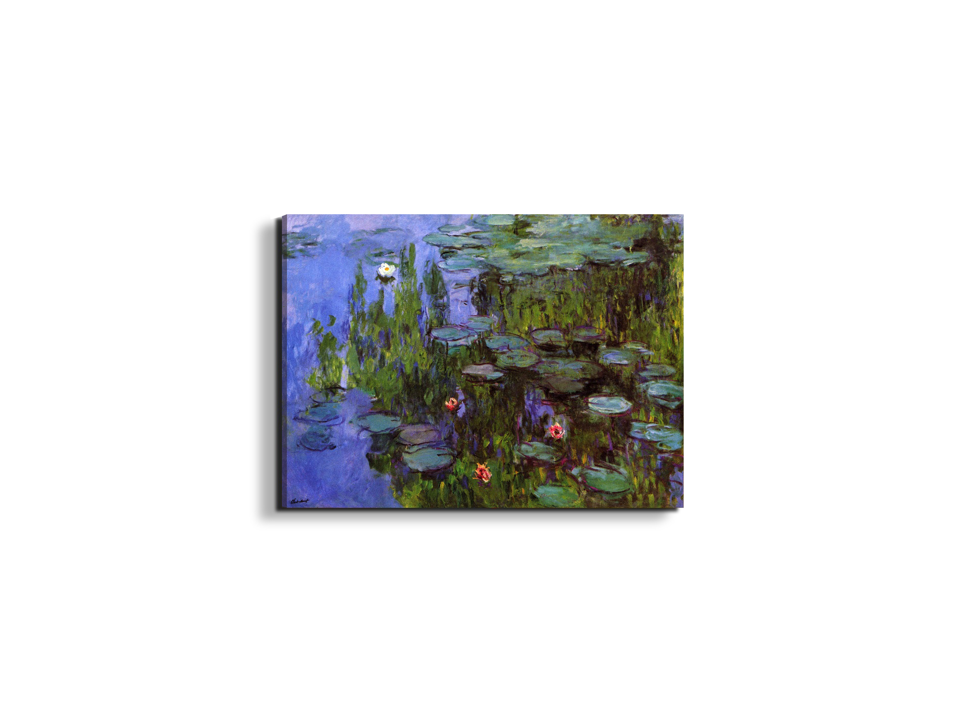 gardensas91767-