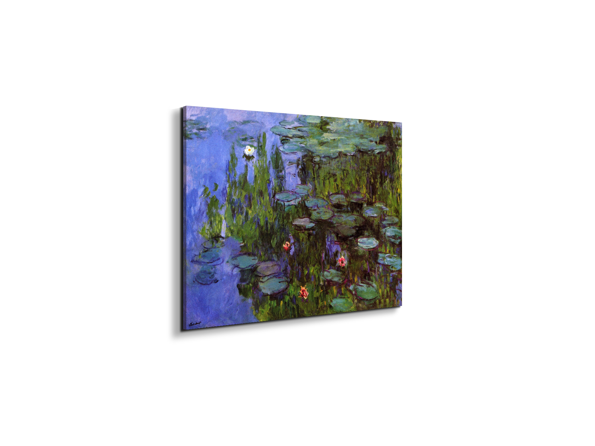 gardensas91767-