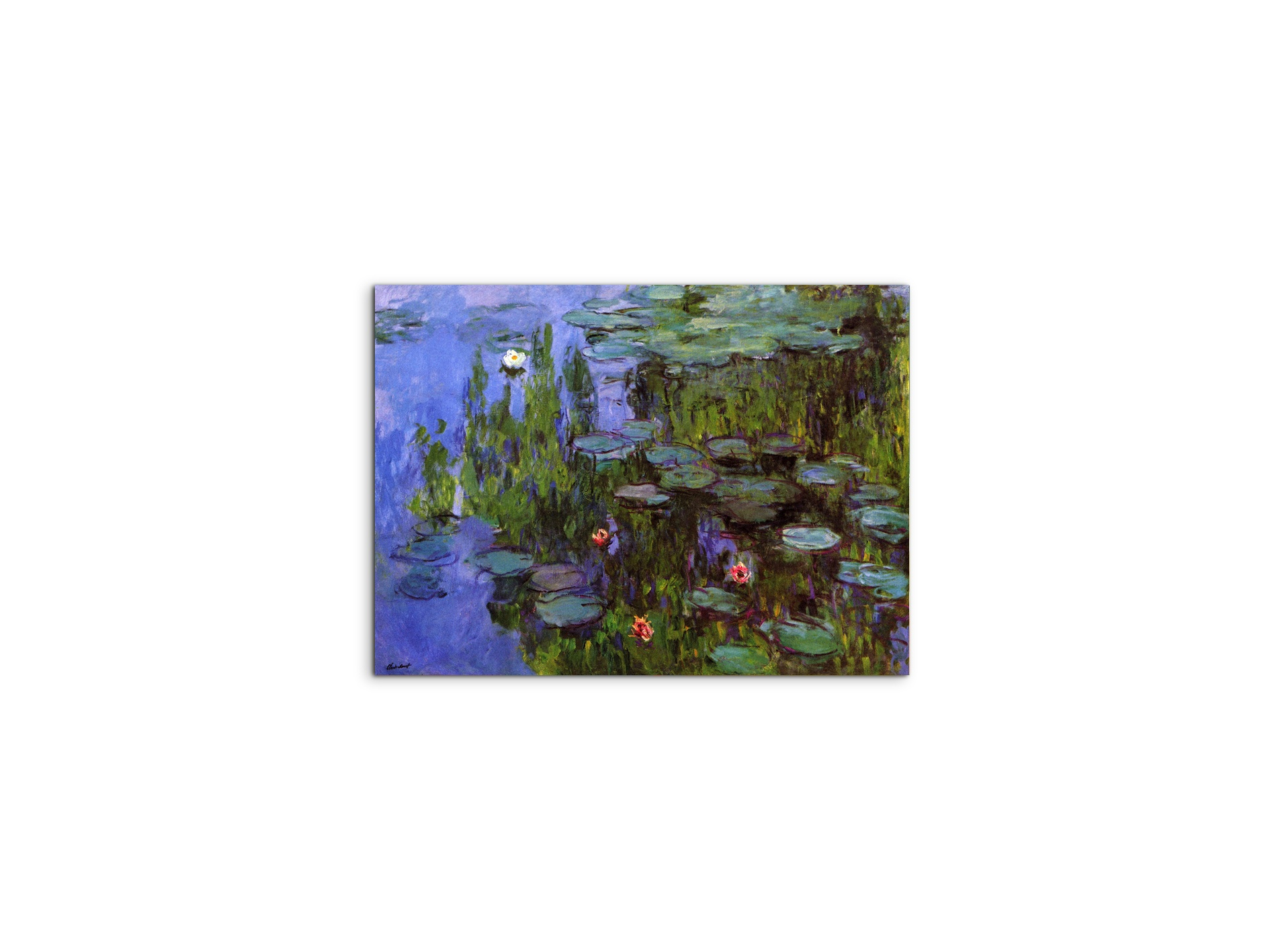 gardensas91767-