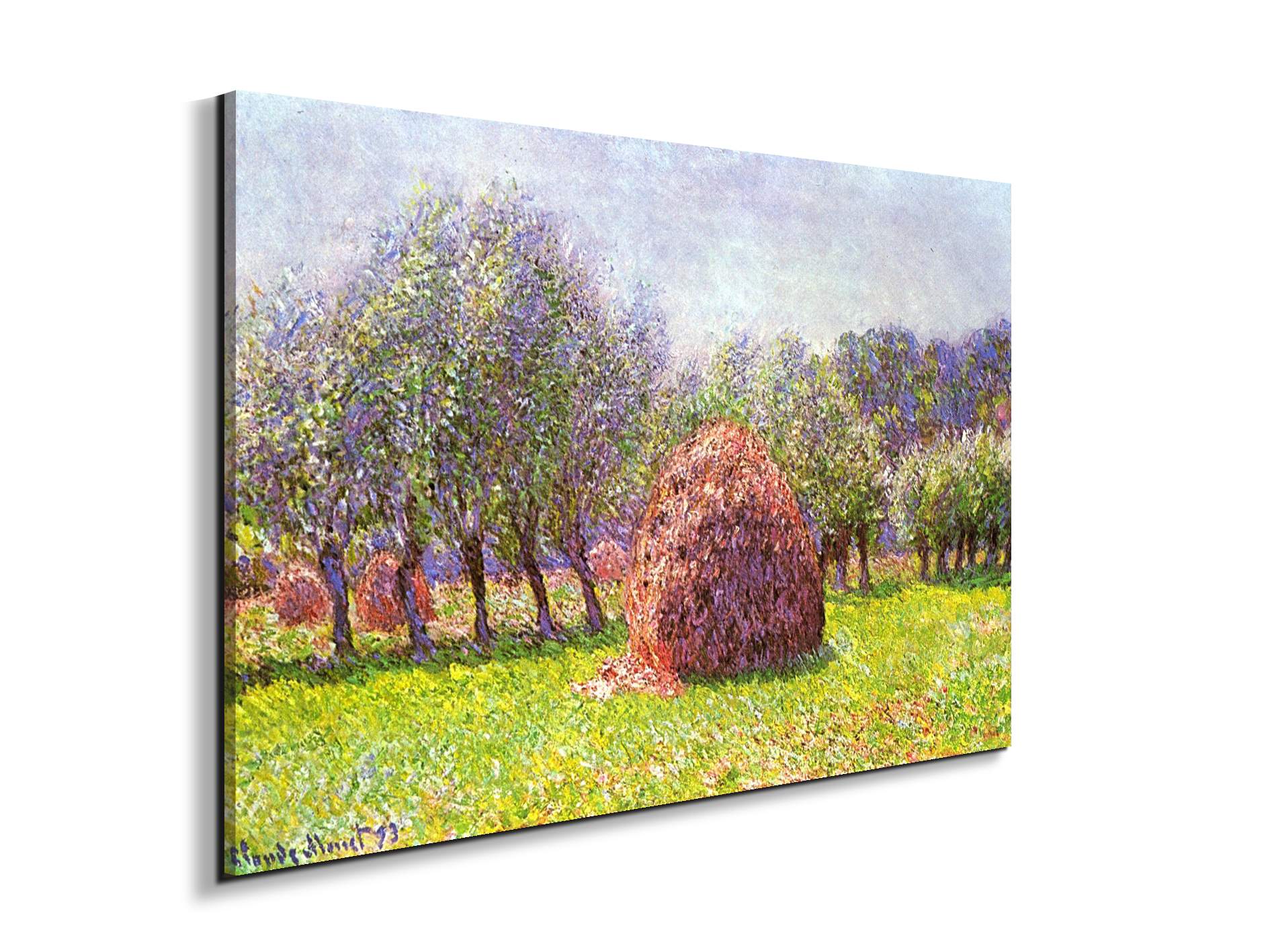 heap-of-hay-in-the-fieldas91785-#materiale_EarthArt/dimensioni_79,5x53