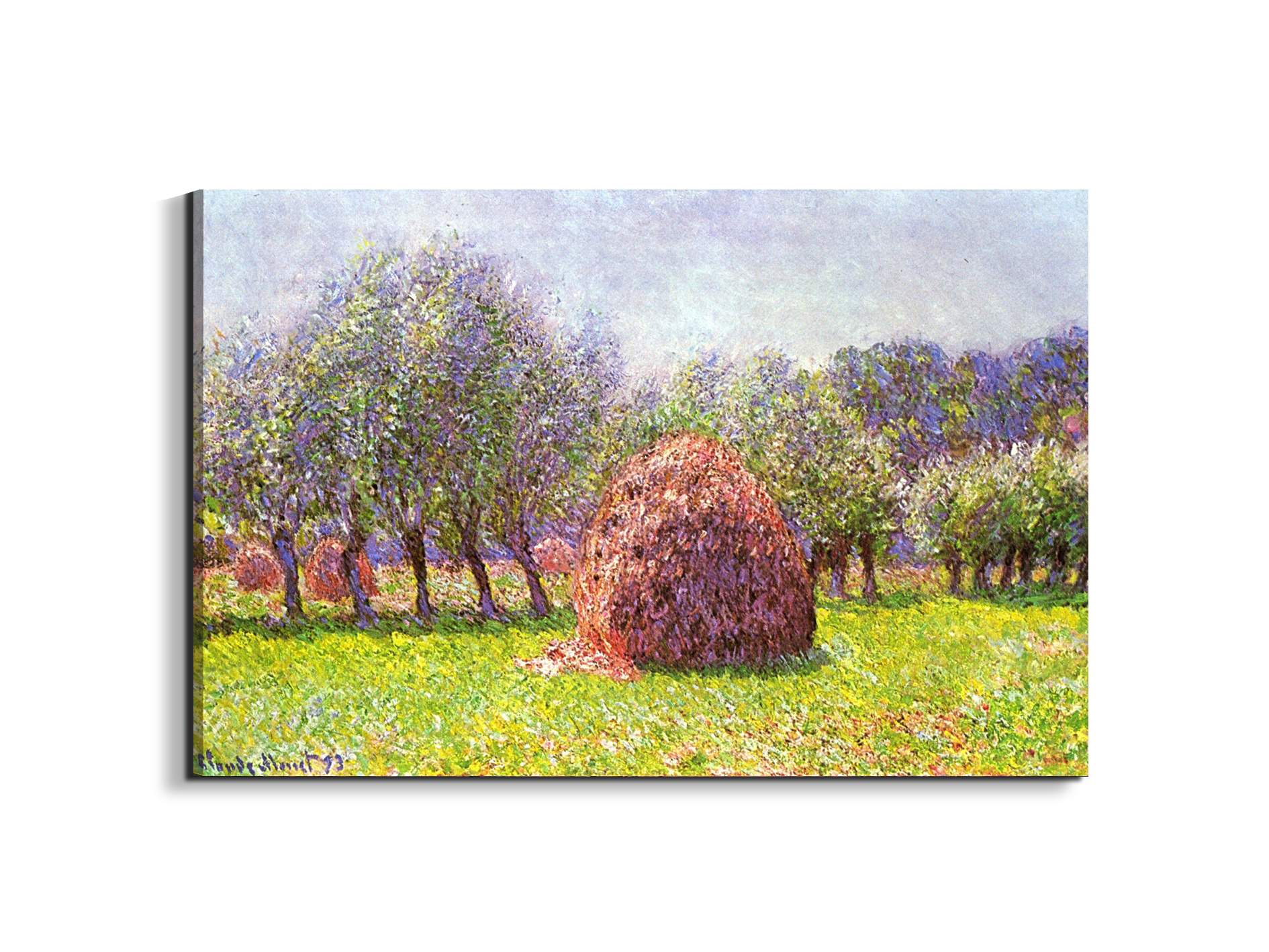 heap-of-hay-in-the-fieldas91785-#materiale_EarthArt Materic/dimensioni_79,5x53
