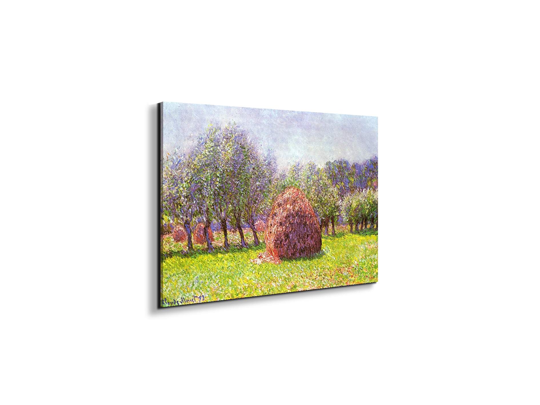 heap-of-hay-in-the-fieldas91785-#materiale_EarthArt Materic/dimensioni_50x33,33