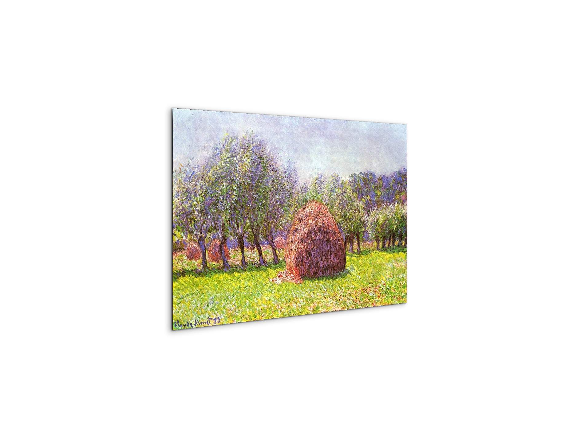 heap-of-hay-in-the-fieldas91785-#materiale_MetalArt Materic/dimensioni_50x33,33