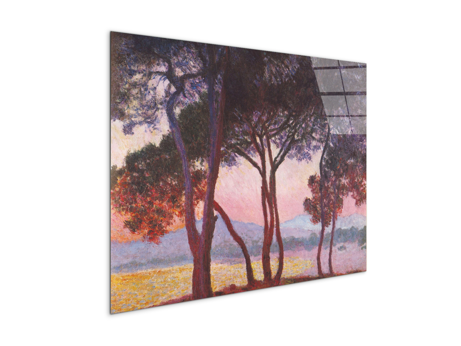 juan-les-pinsas91801-