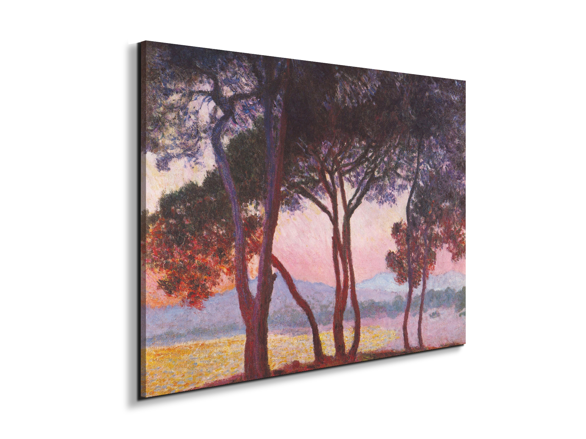 juan-les-pinsas91801-