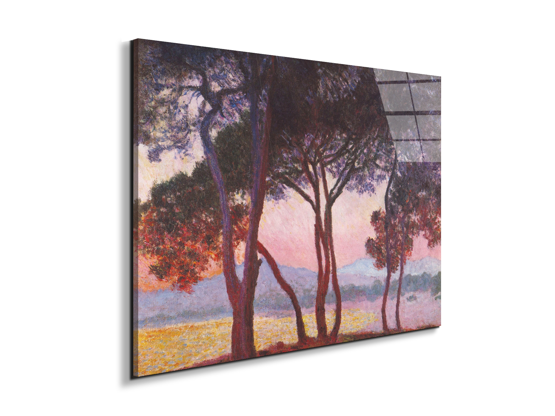 juan-les-pinsas91801-