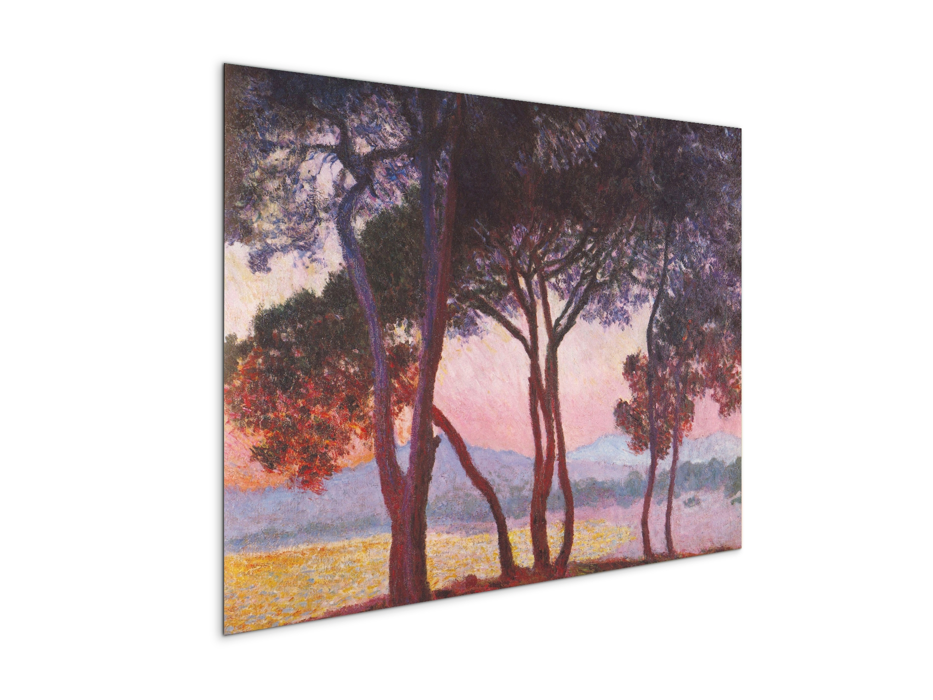 juan-les-pinsas91801-