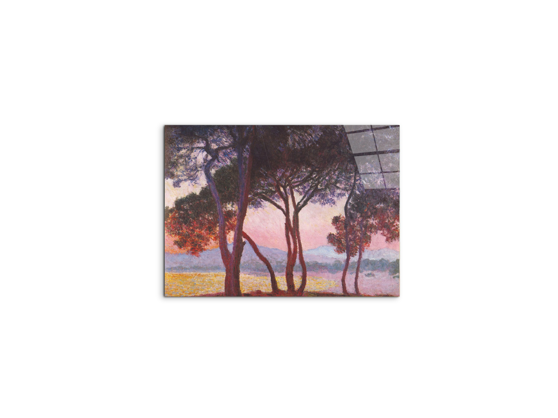 juan-les-pinsas91801-