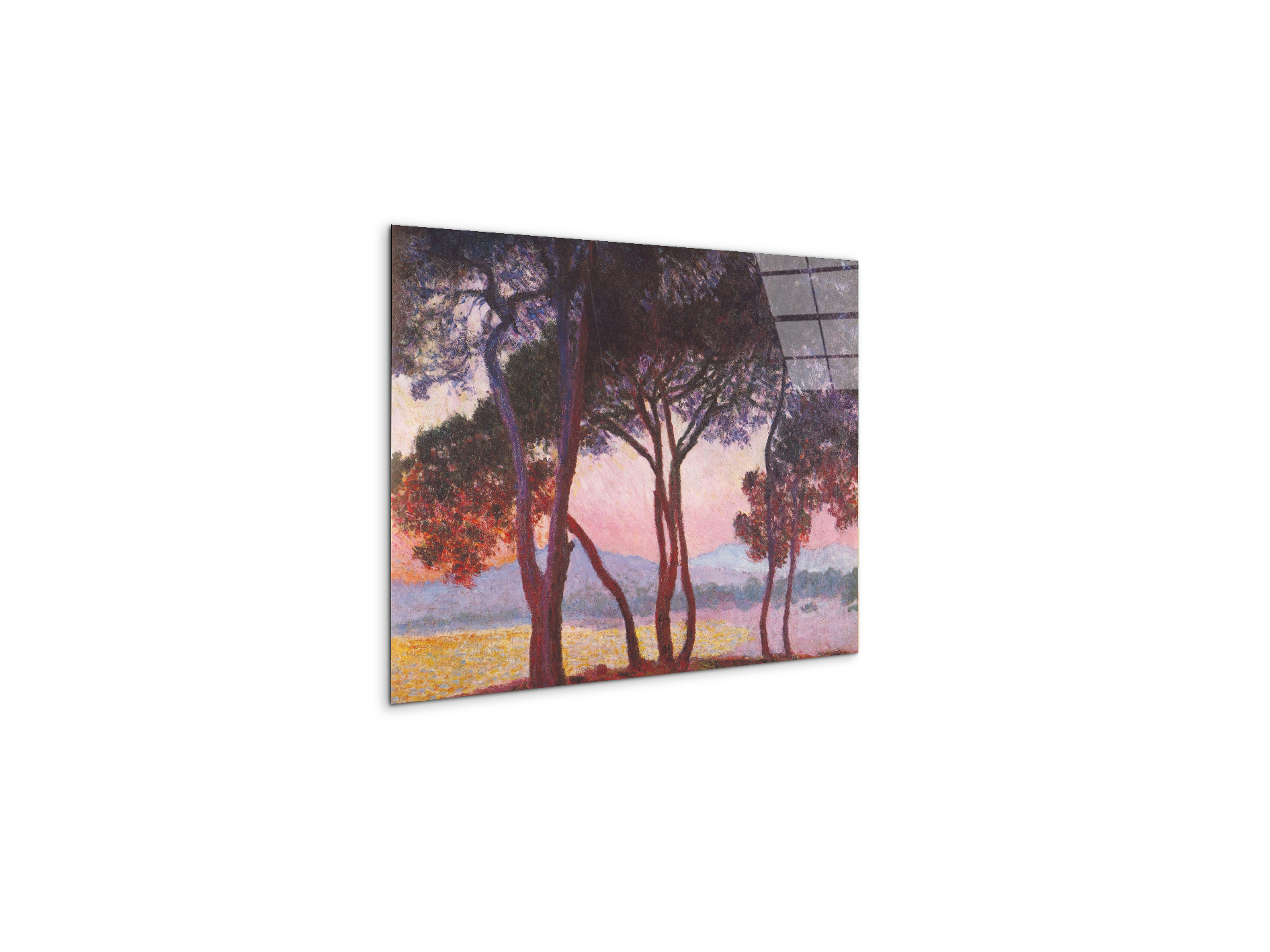 juan-les-pinsas91801-
