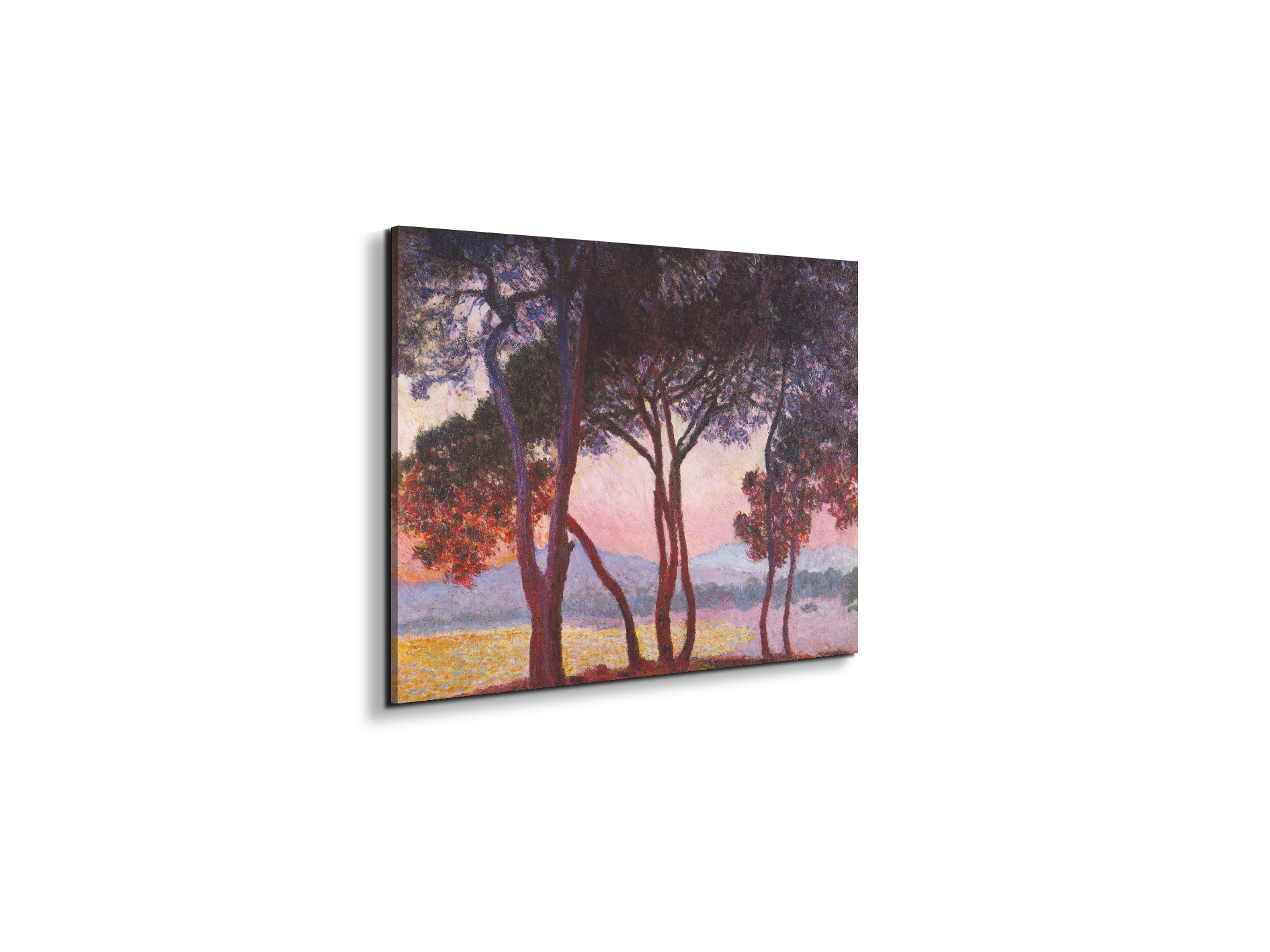 juan-les-pinsas91801-