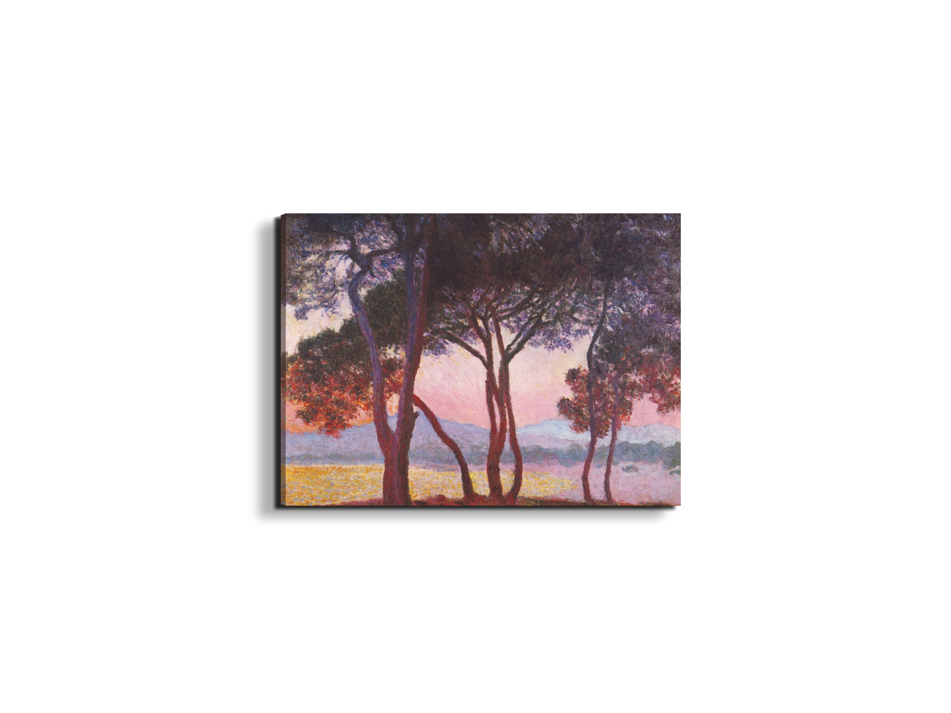 juan-les-pinsas91801-