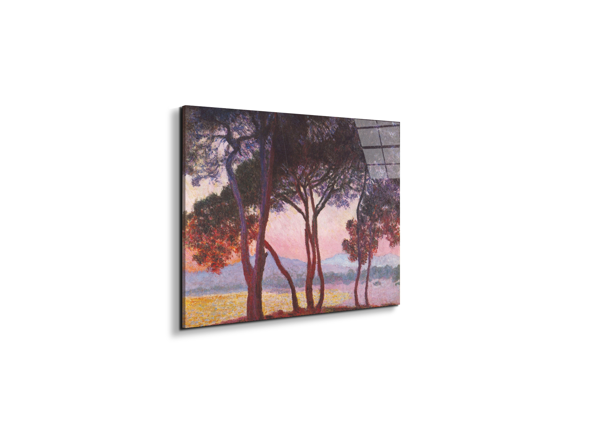 juan-les-pinsas91801-