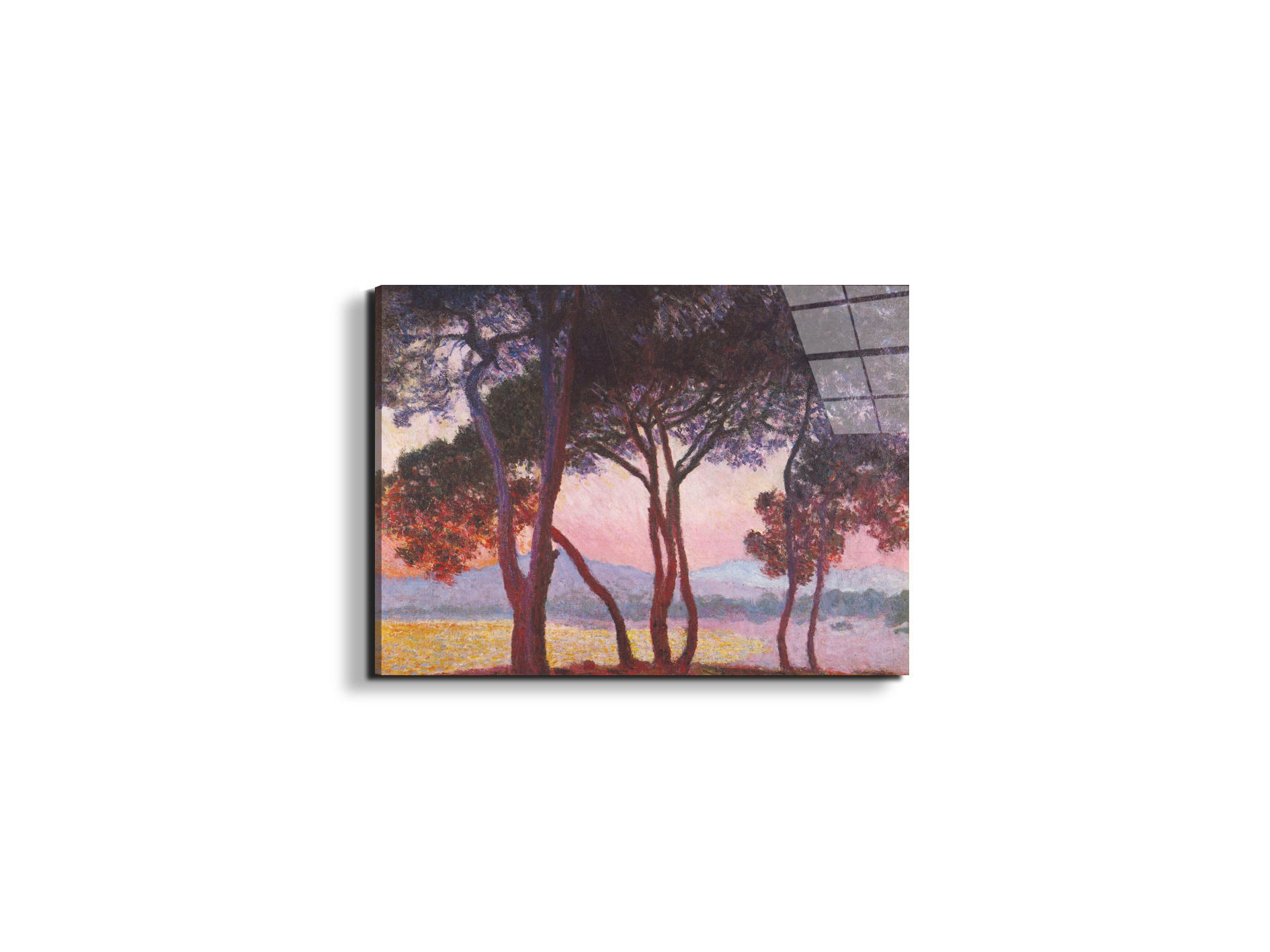 juan-les-pinsas91801-