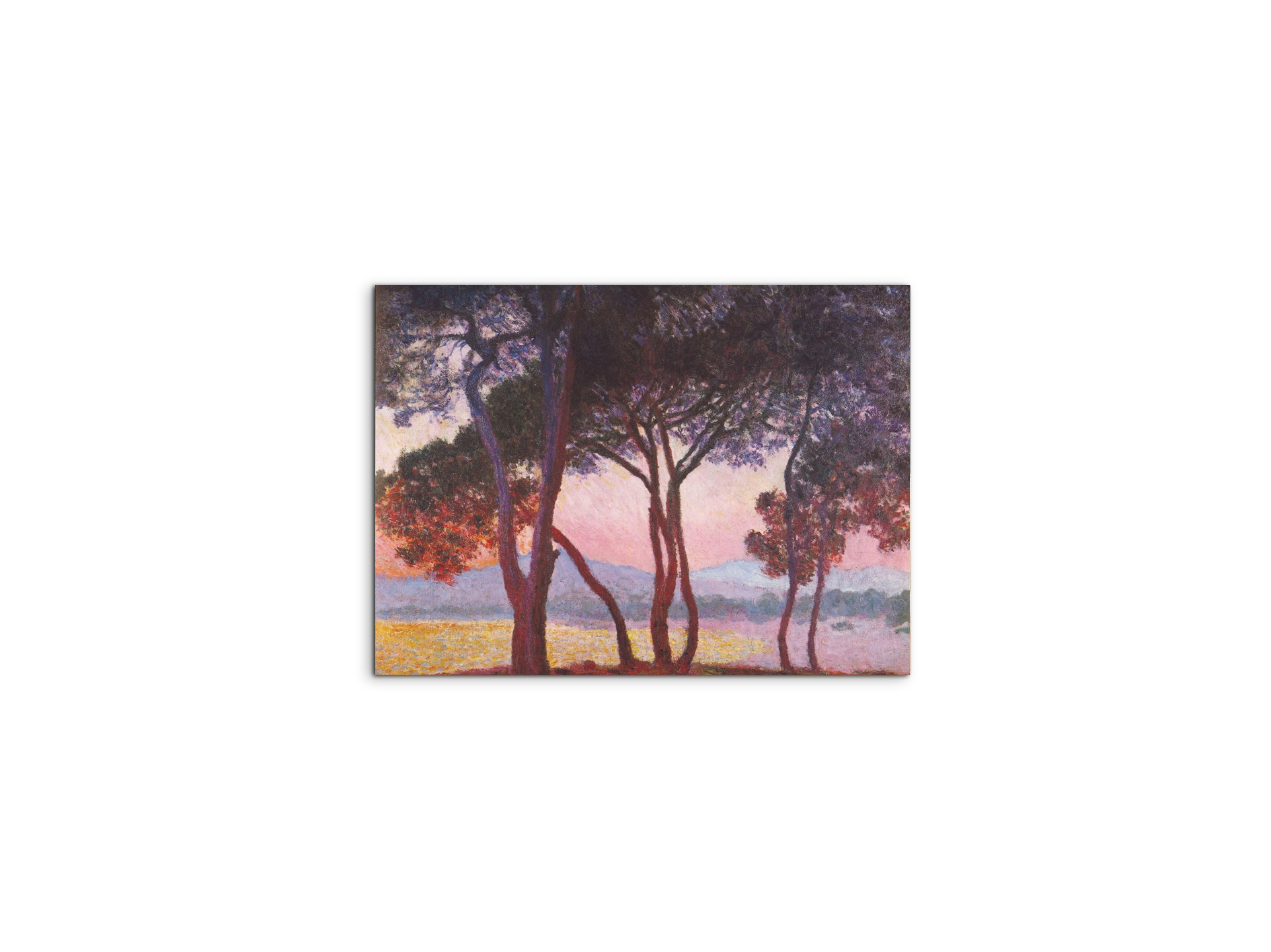 juan-les-pinsas91801-