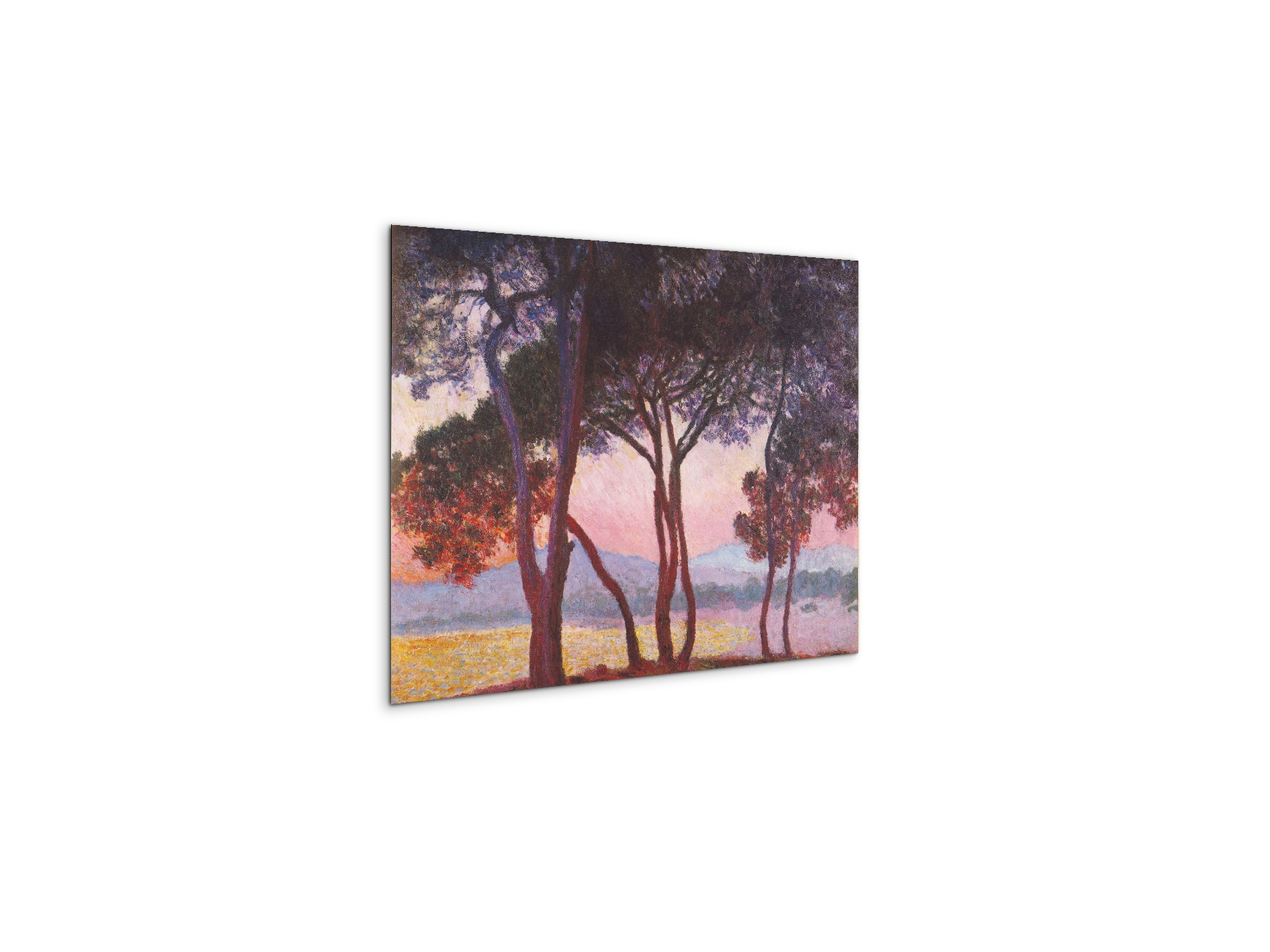 juan-les-pinsas91801-