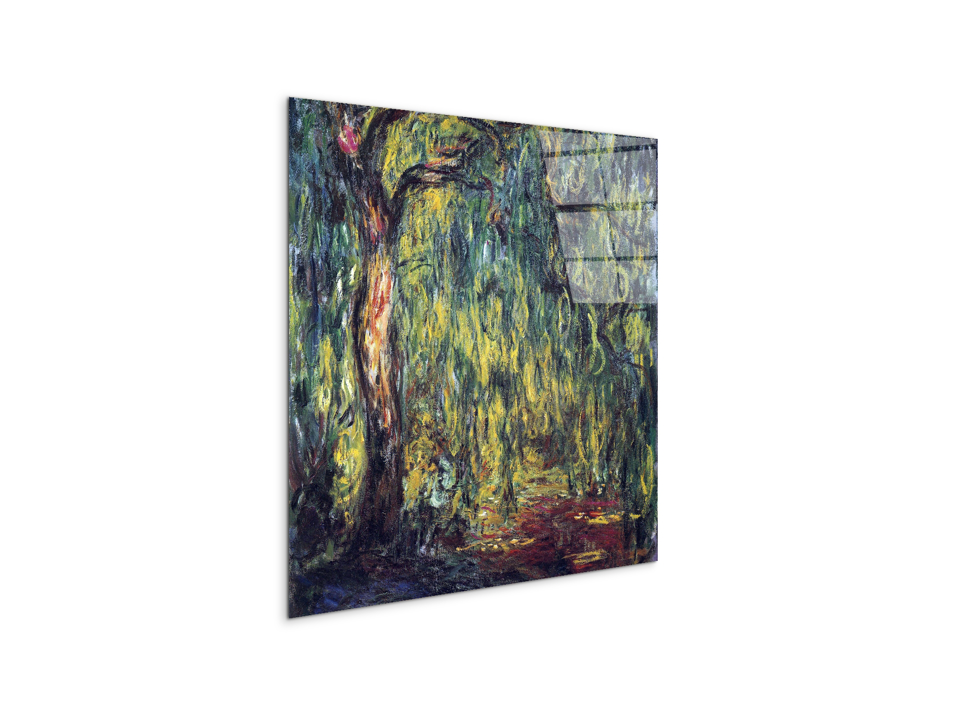 landscape-weeping-willowas91809-