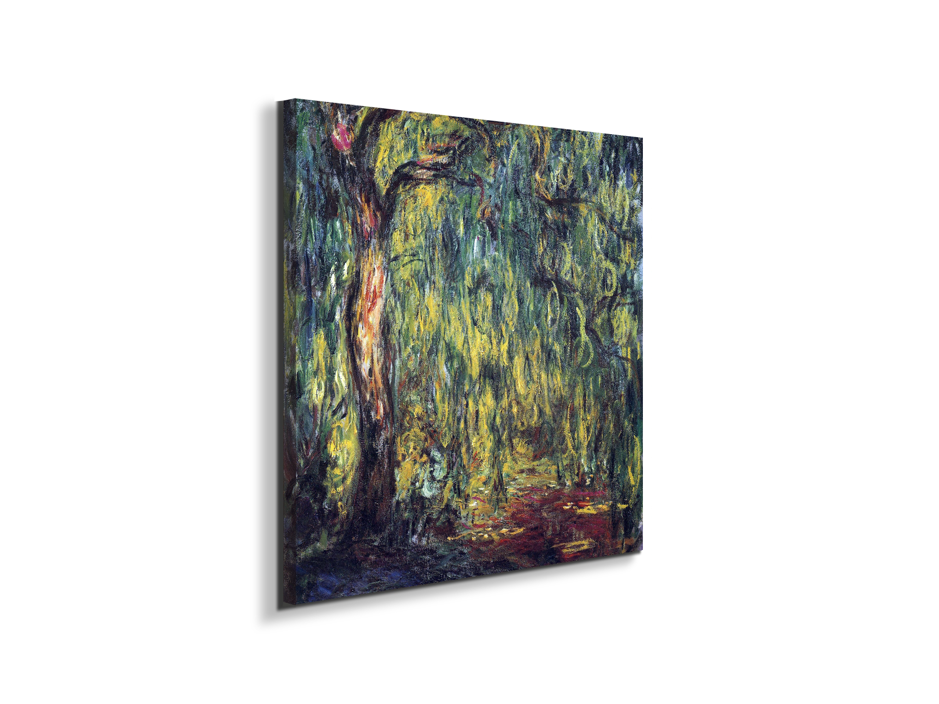 landscape-weeping-willowas91809-