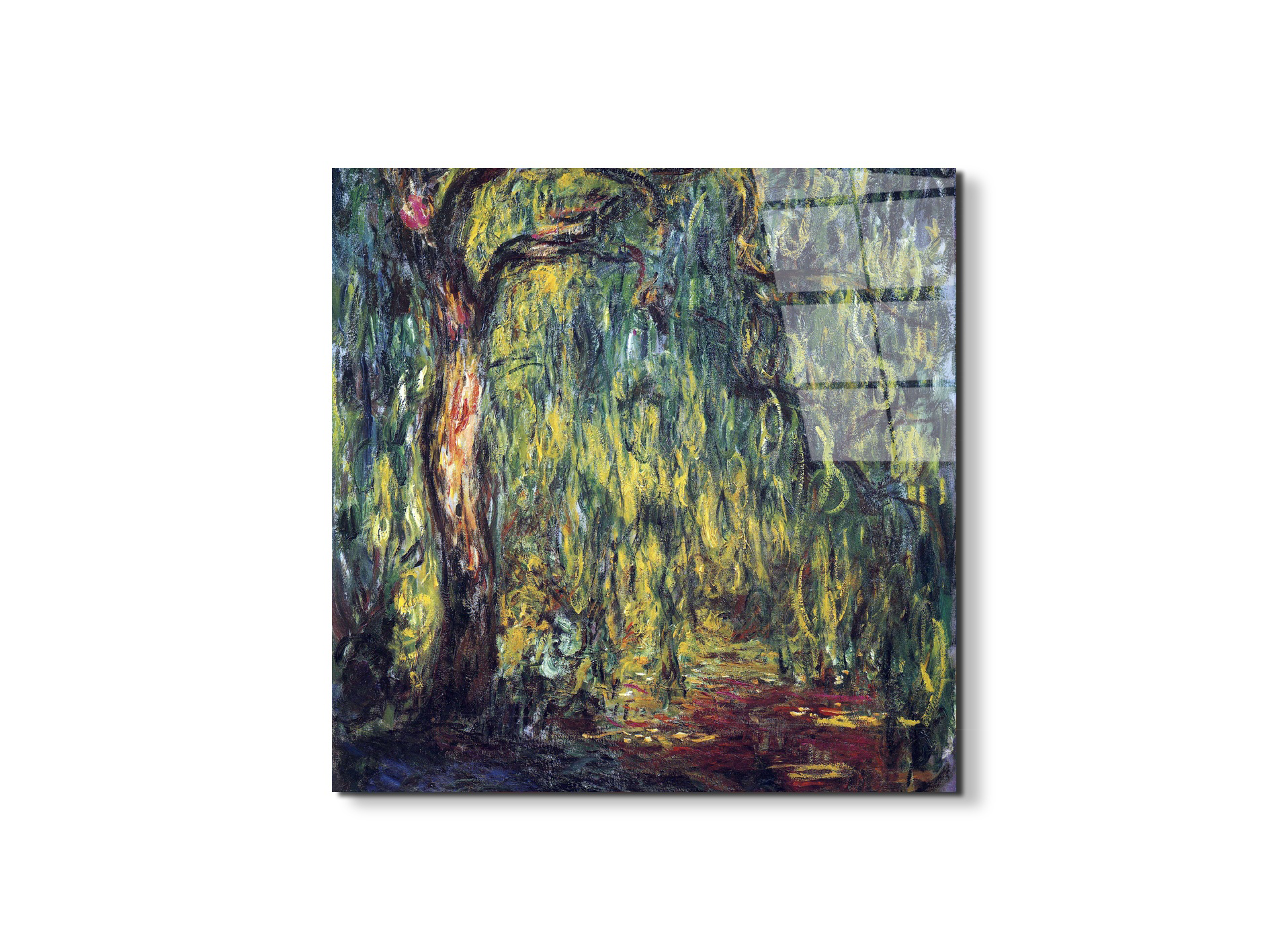 landscape-weeping-willowas91809-