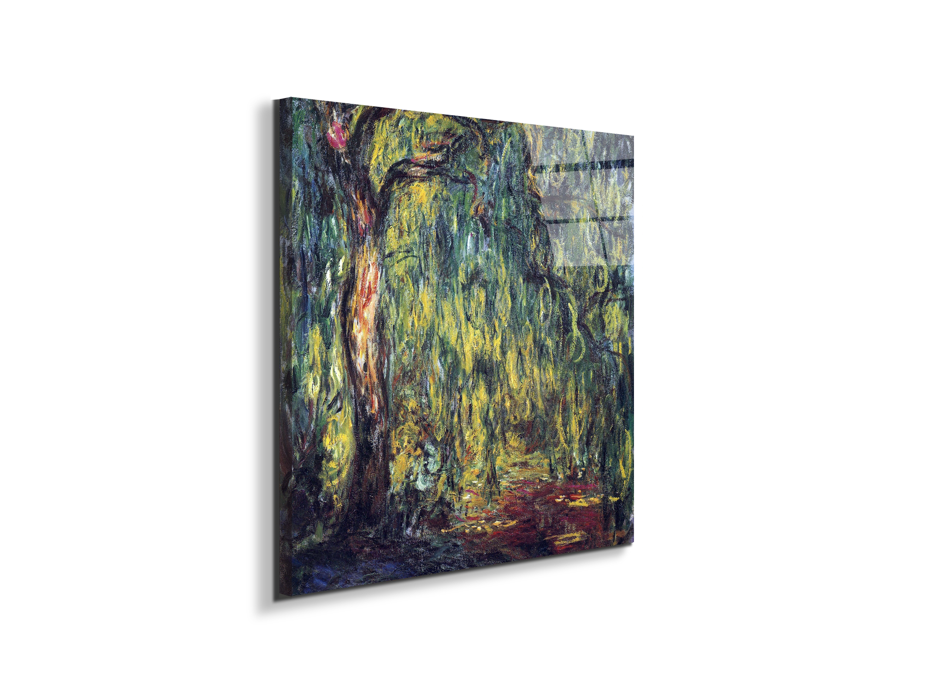 landscape-weeping-willowas91809-