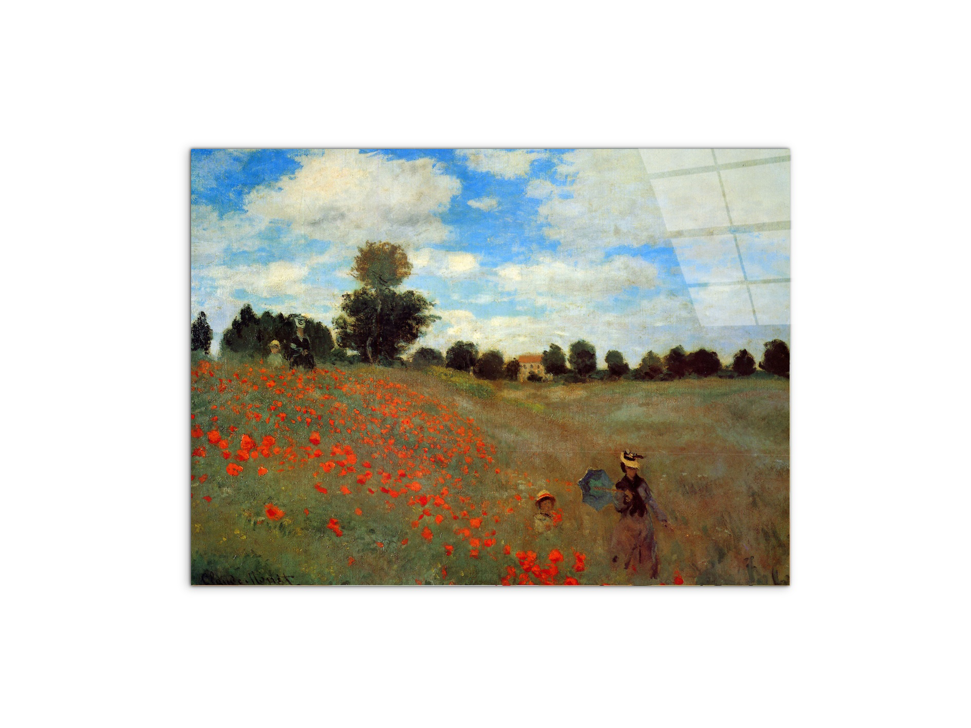 les-coqueliquotsas91823-