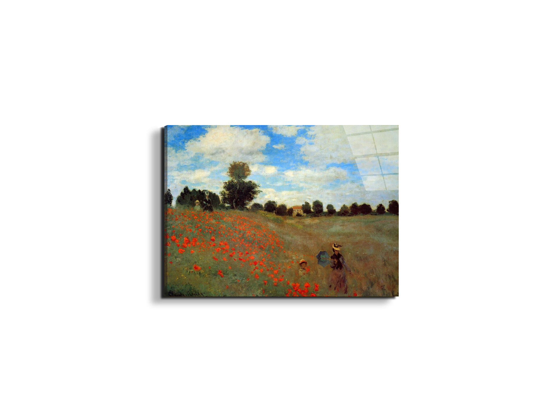 les-coqueliquotsas91823-