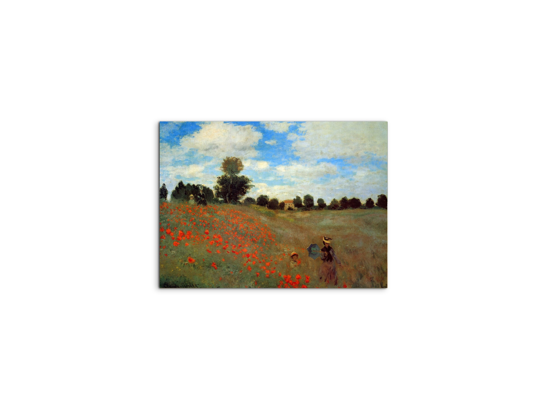 les-coqueliquotsas91823-