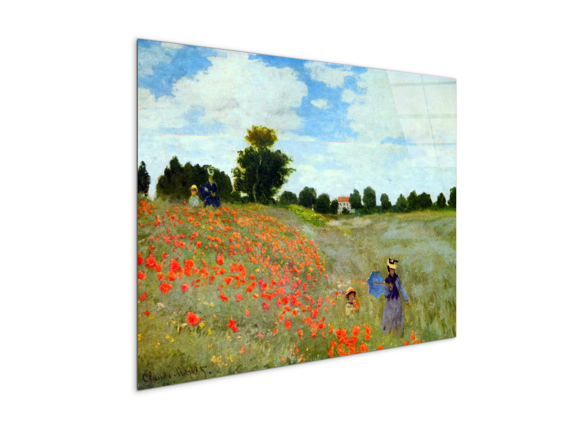 poppies-flowersas91879-