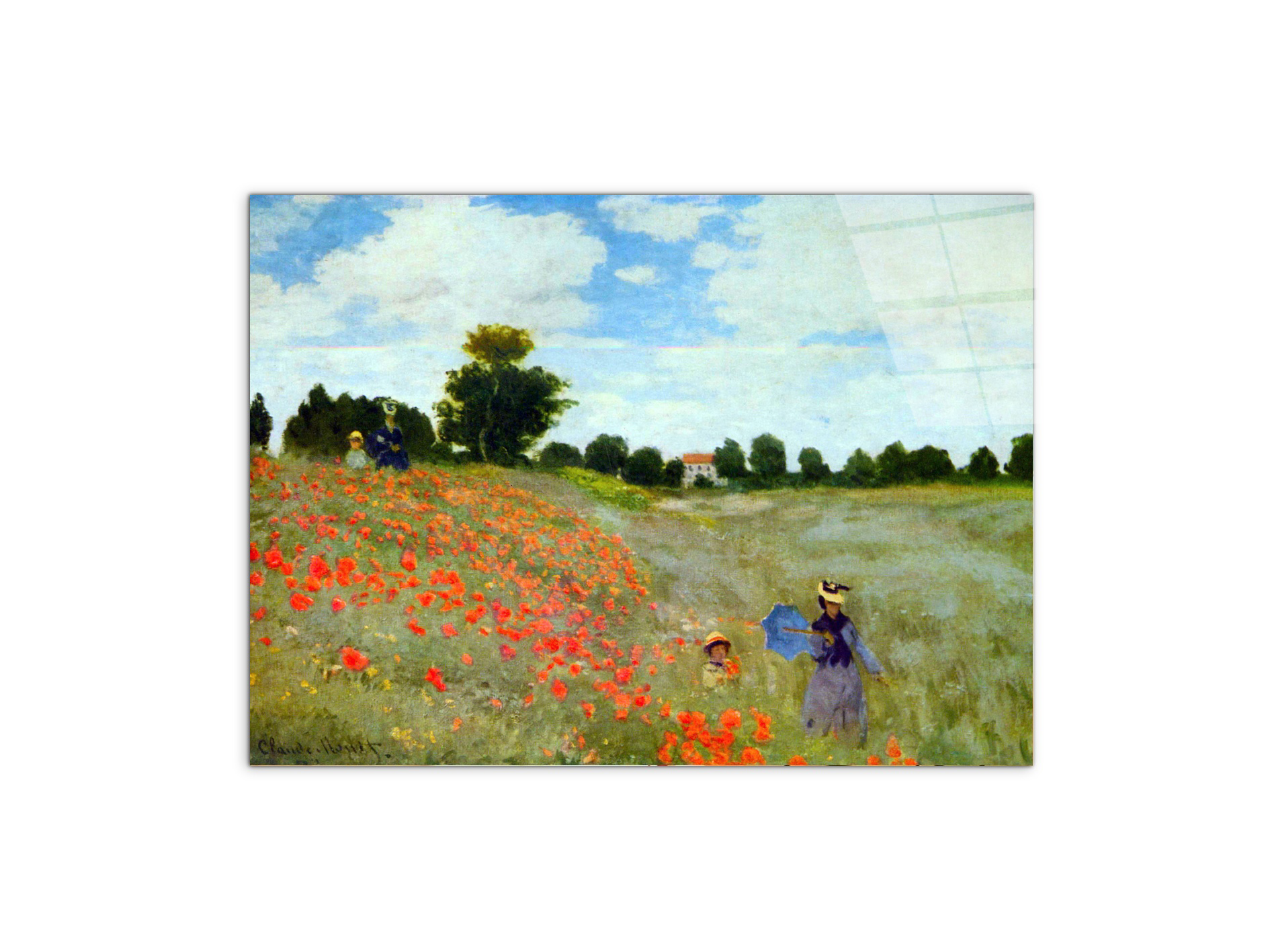 poppies-flowersas91879-#materiale_CrystalArt/dimensioni_76x57