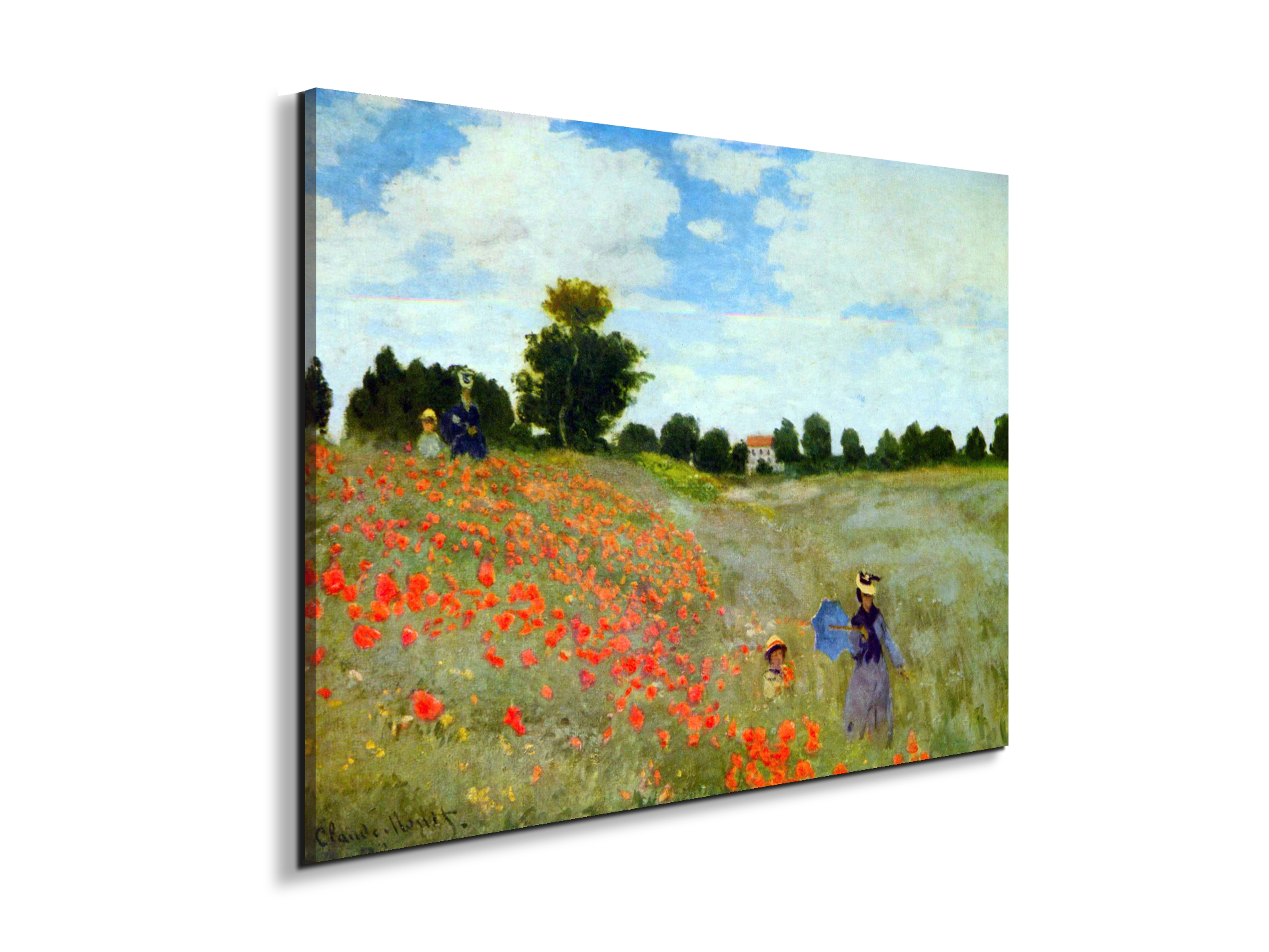 poppies-flowersas91879-