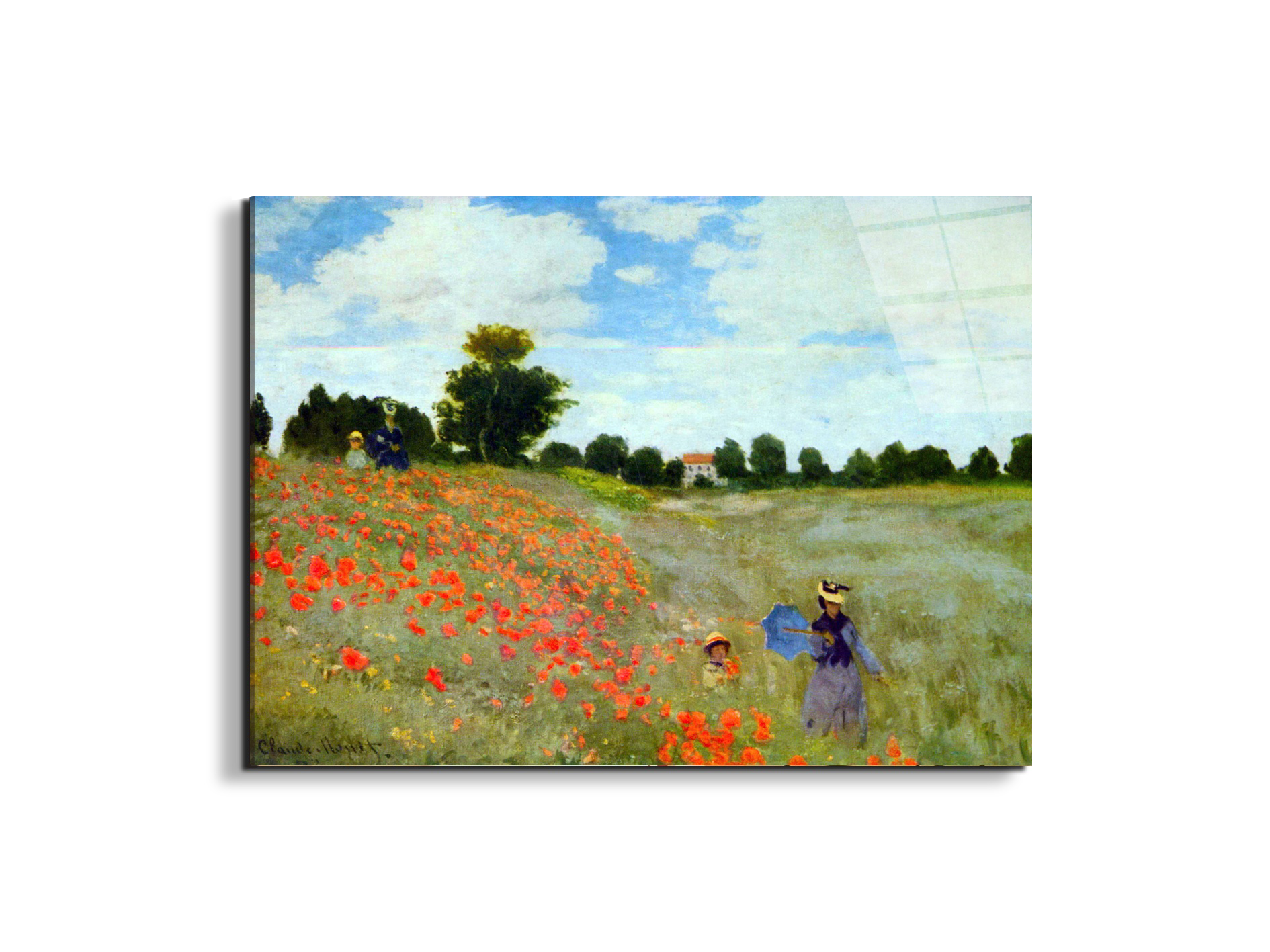 poppies-flowersas91879-#materiale_EarthArt Total Gloss/dimensioni_76x57